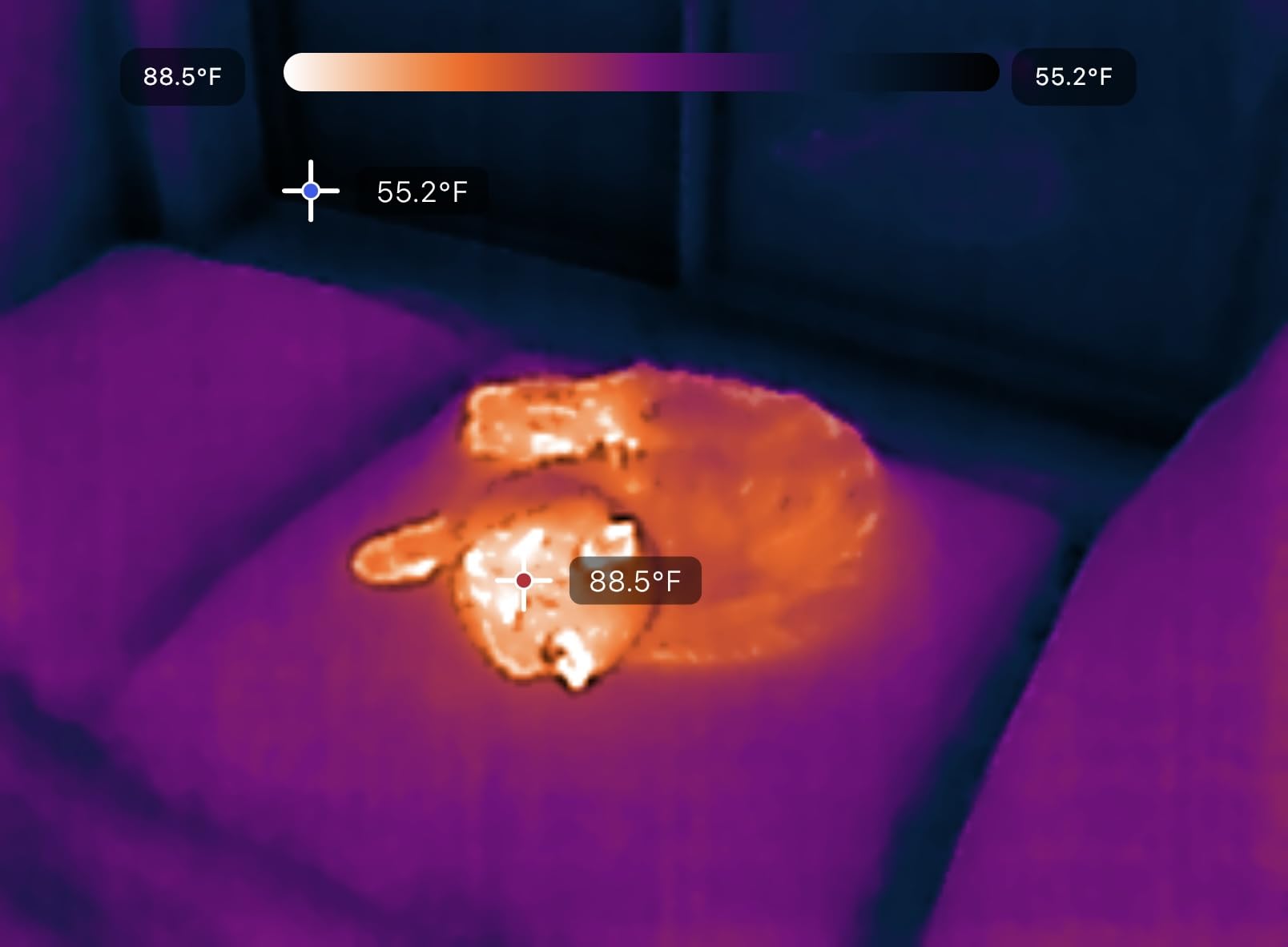 Seek Nano 200 Thermal Camera for Apple iOS with USB-C Connector, iPhone Thermal Camera, High Resolution 200 X 150 Thermal Imager, 25hz Imaging Frame Rate, -4°F~626°F, iPhone 15 & 16 customer photo 1