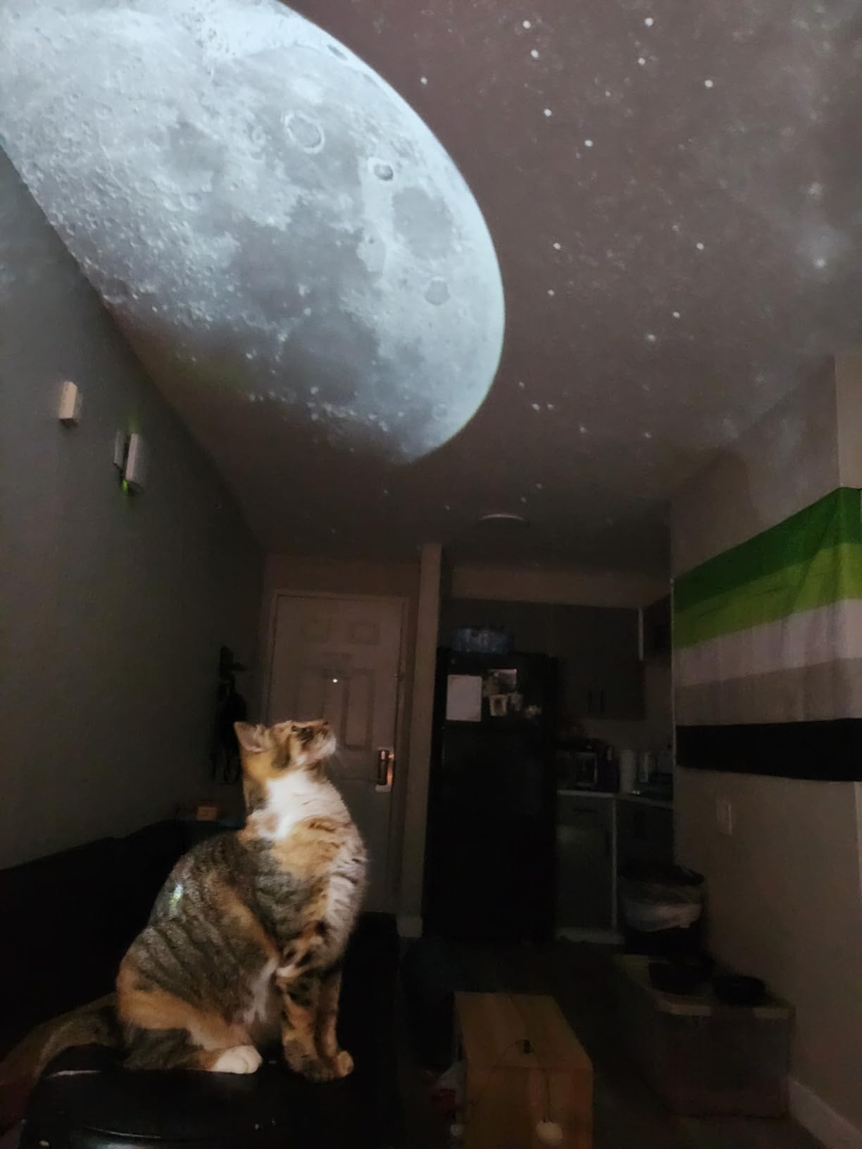 Planetarium Projector Pro for Bedroom, 13 in 1 Star Projector Galaxy Light, Ceiling Night Light Milky Way Mood Lighting with Timer, LED Space Galaxy Lamp Bedroom Room Decor for Adults Kids - White customer photo 2
