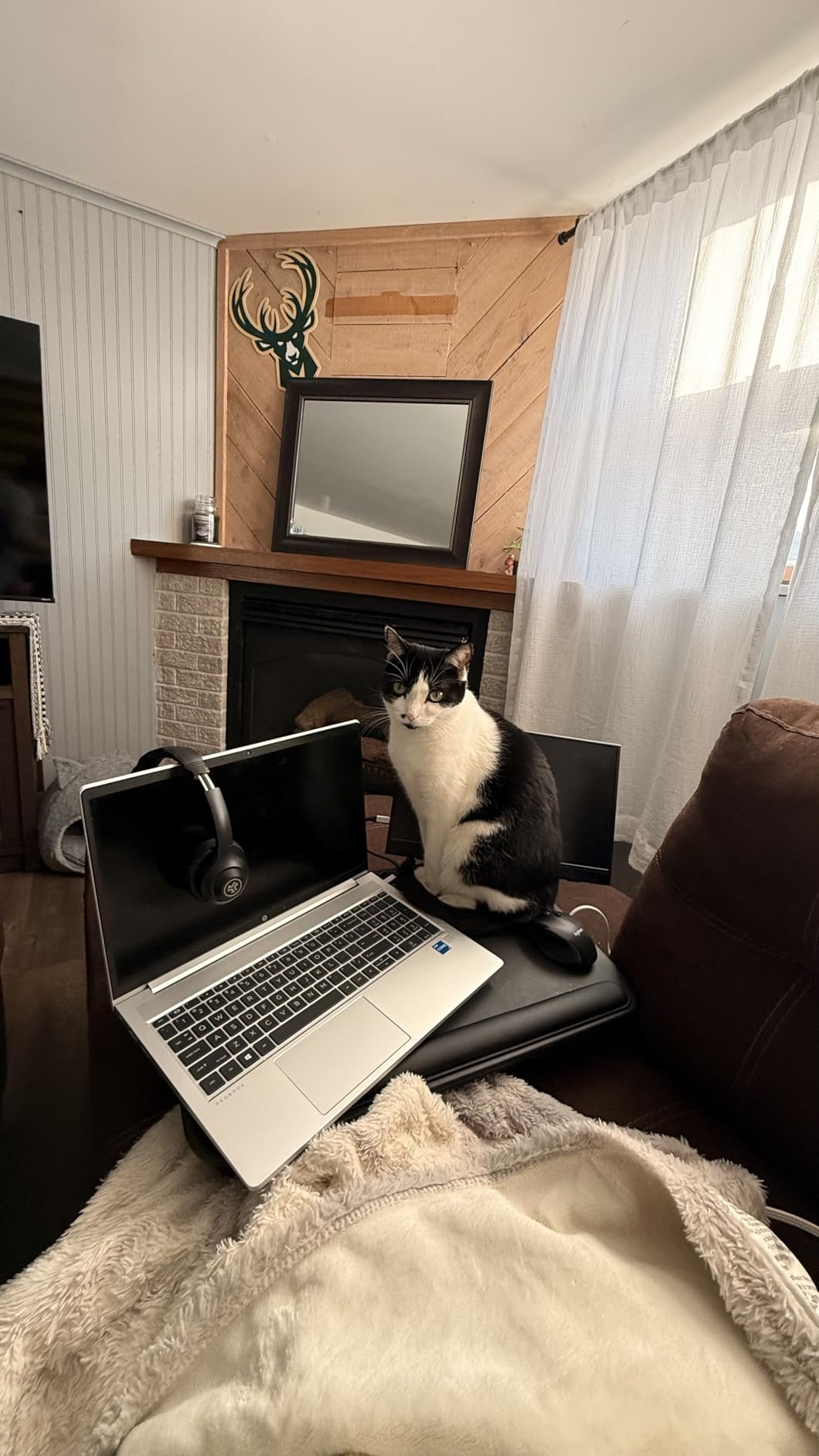 SAIJI Laptop Lap Desk - Fits Up to 17