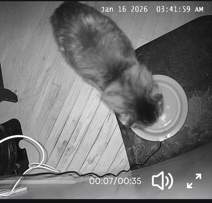 eufy Security 4K Indoor Camera E30 - No Subscription, Work as Pet Camera, Nanny/Baby Monitor, 360° Pan&Tilt, AI Auto Tracking, AI Detection customer photo 2