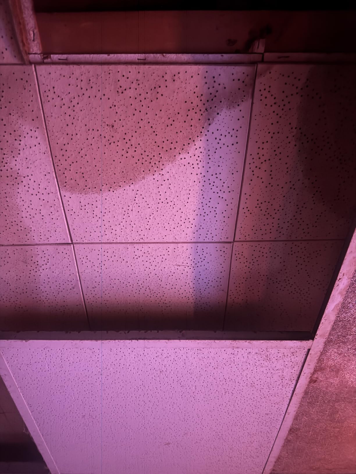 Art3d Acoustic Drop Ceiling Tiles 2x2ft 12-Pack, Soundproof Panels 24x24 for Wall Coverings, White customer photo 2