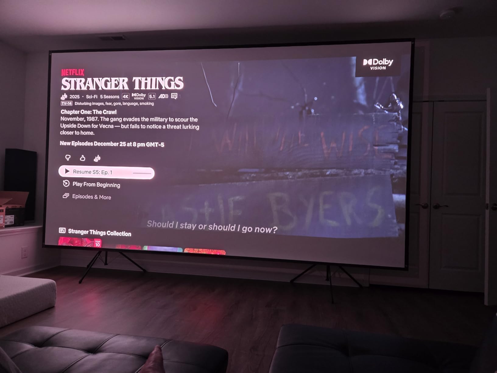 Outdoor Projector Screen with Stand 150 inch 16:9, Portable Projector Screen, 1.5 High Gain Fiberglass, Sturdy Backing, Wind-Resistant Movie Screen, Tripod/Wall Mounted, for Home Cinema/Backyard Party customer photo 2