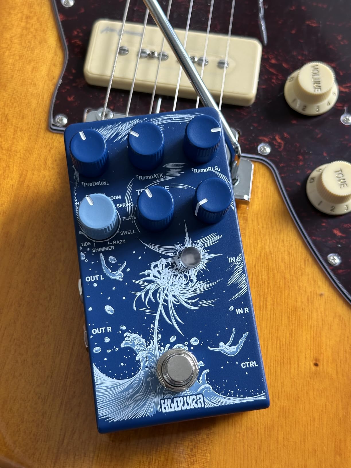 Everlast Delay Guitar Pedal for Electric Guitar - Ramp,9 Stereo Delay Types, Tap Tempo, True Bypass, Analog Dry Through, support Expression Pedal&TS/TRS footswitch customer photo 2