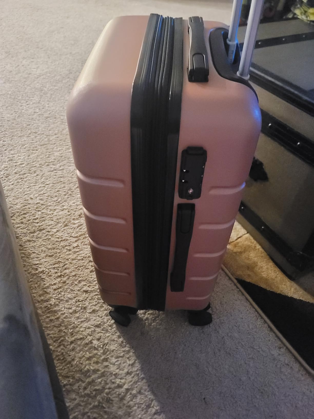 Carry on Luggage, Hard Shell ABS Suitcase with Double Spinner Wheels, Lightweight Expandable Rolling Suit Case with TSA Lock, 20 Inch Pale Pink customer photo 2