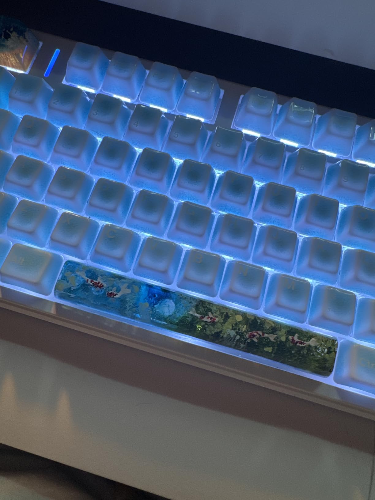 Manta Ray Artisan Keycap Pastel Blue Red Ocean R1 SA Profile Custom Sea Creatures Keycaps 1U ESC Handmade Gaming Resin Key Cap Cherry MX Switch Compatible Mechanical Keyboard Manta Ray Lover Gift customer photo 2