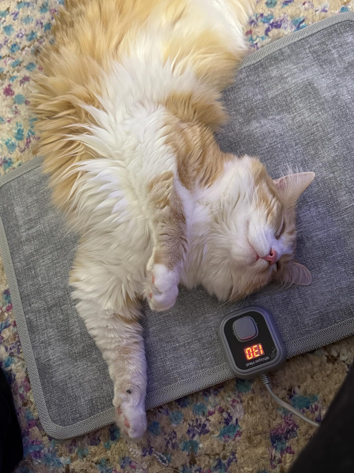 WhisperHeat Heated Floor Mat - Electric Tap-to-Activate Foot & Floor Warmer- Silent, Energy-Efficient Underfoot Heating Mat customer photo 2