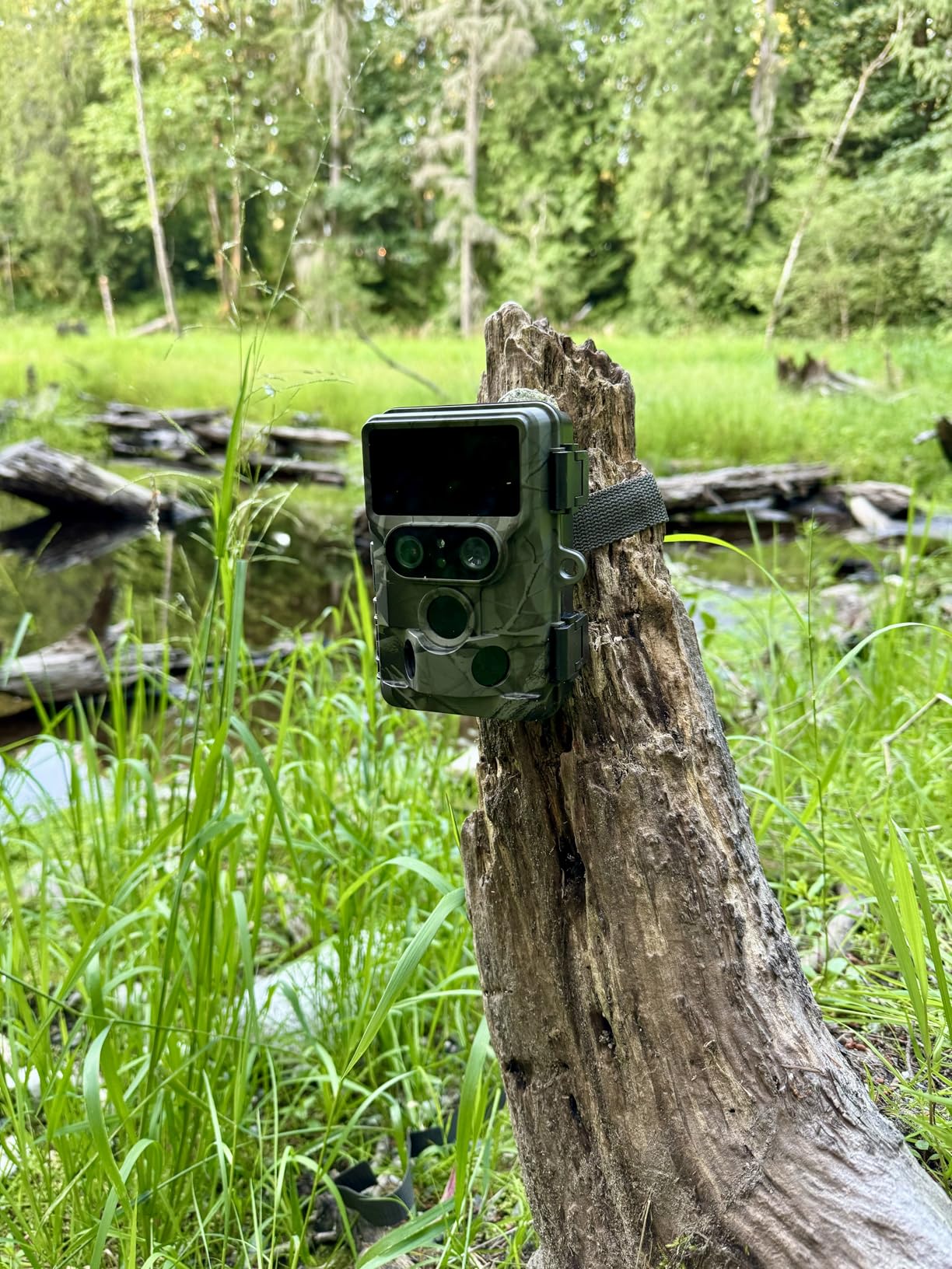 VOOPEAK Trail Camera, 4G LTE Cellular Security Camera with 360° Live Streaming, 2.5K Game Camera Solar Powered, Night Vision, Motion Activated, Two-Way Audio Wildlife Cam, 2 Pack customer photo 2
