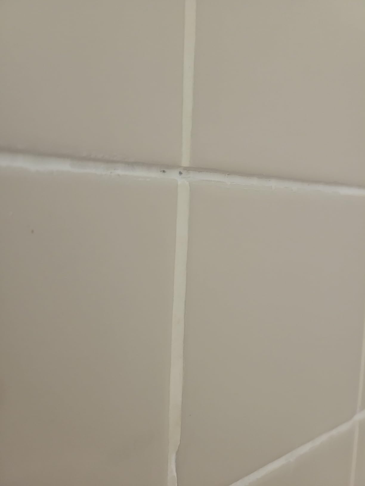 Dremel 570 1/8-Inch Carbide Grout Removal Bit customer photo 2