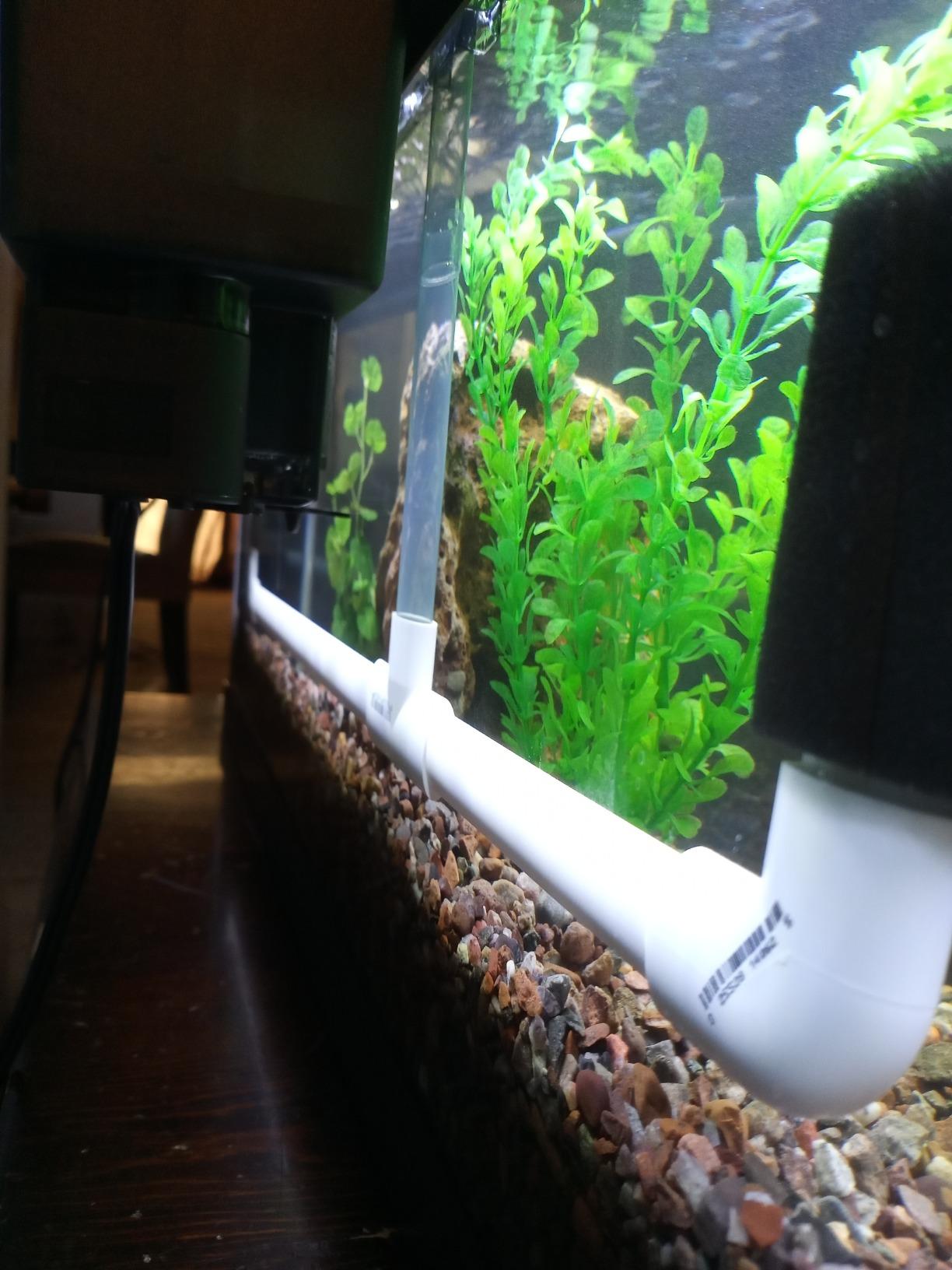 AquaClear 30 Power Filter, Fish Tank Filter for 10- to 30-Gallon Aquariums customer photo 2