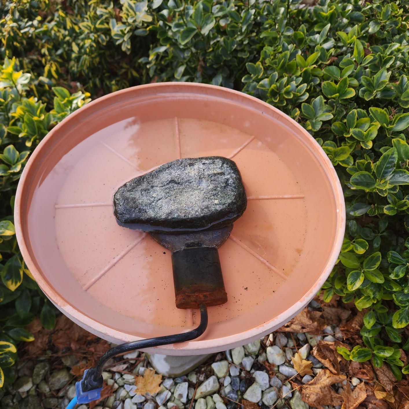 Farm Innovators C-50 Premium Cast Aluminum Birdbath Deicer 150W customer photo 2