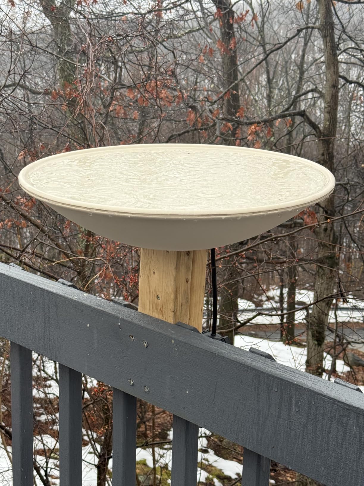 API Heated Birdbath | Heated Bird Bath for Outdoors with Mounting Hardware customer photo 2
