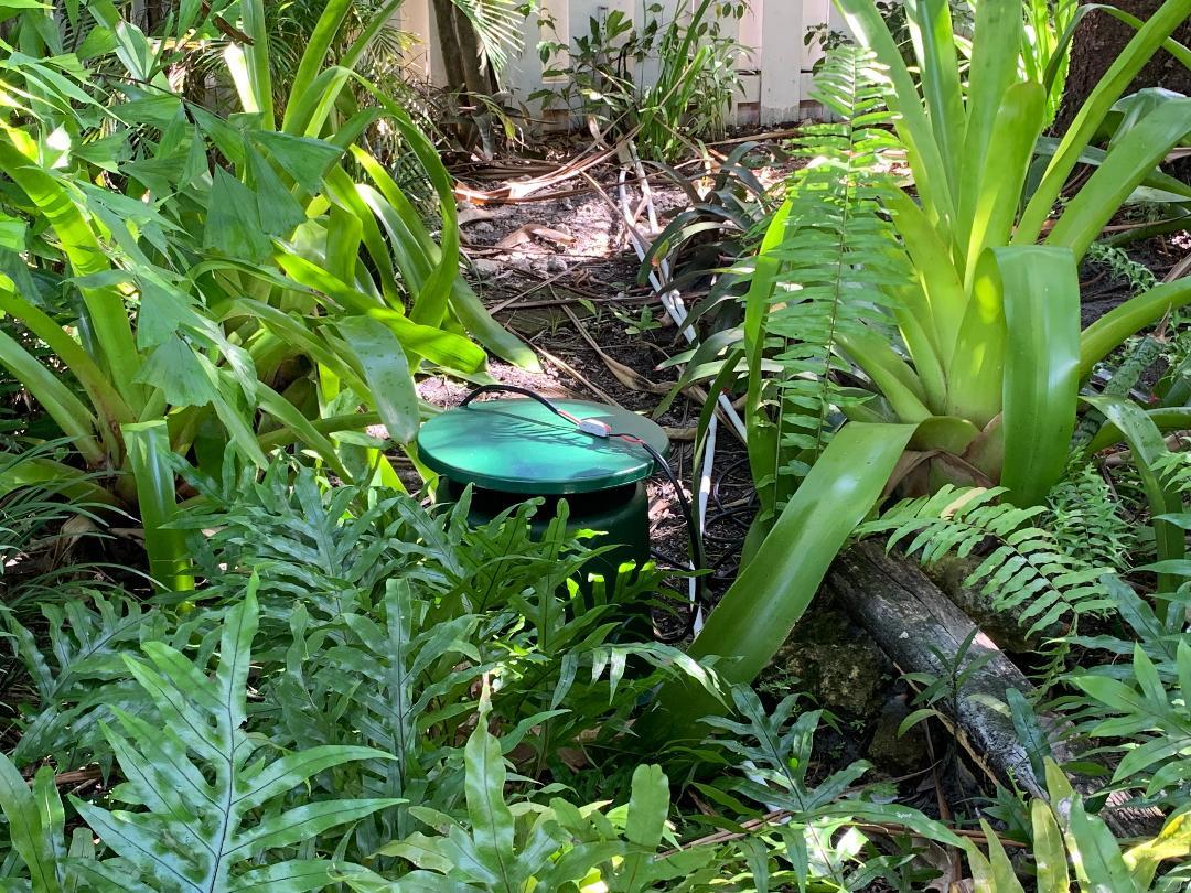 8 Best In-Ground Speakers (April 2026) Expert Reviews