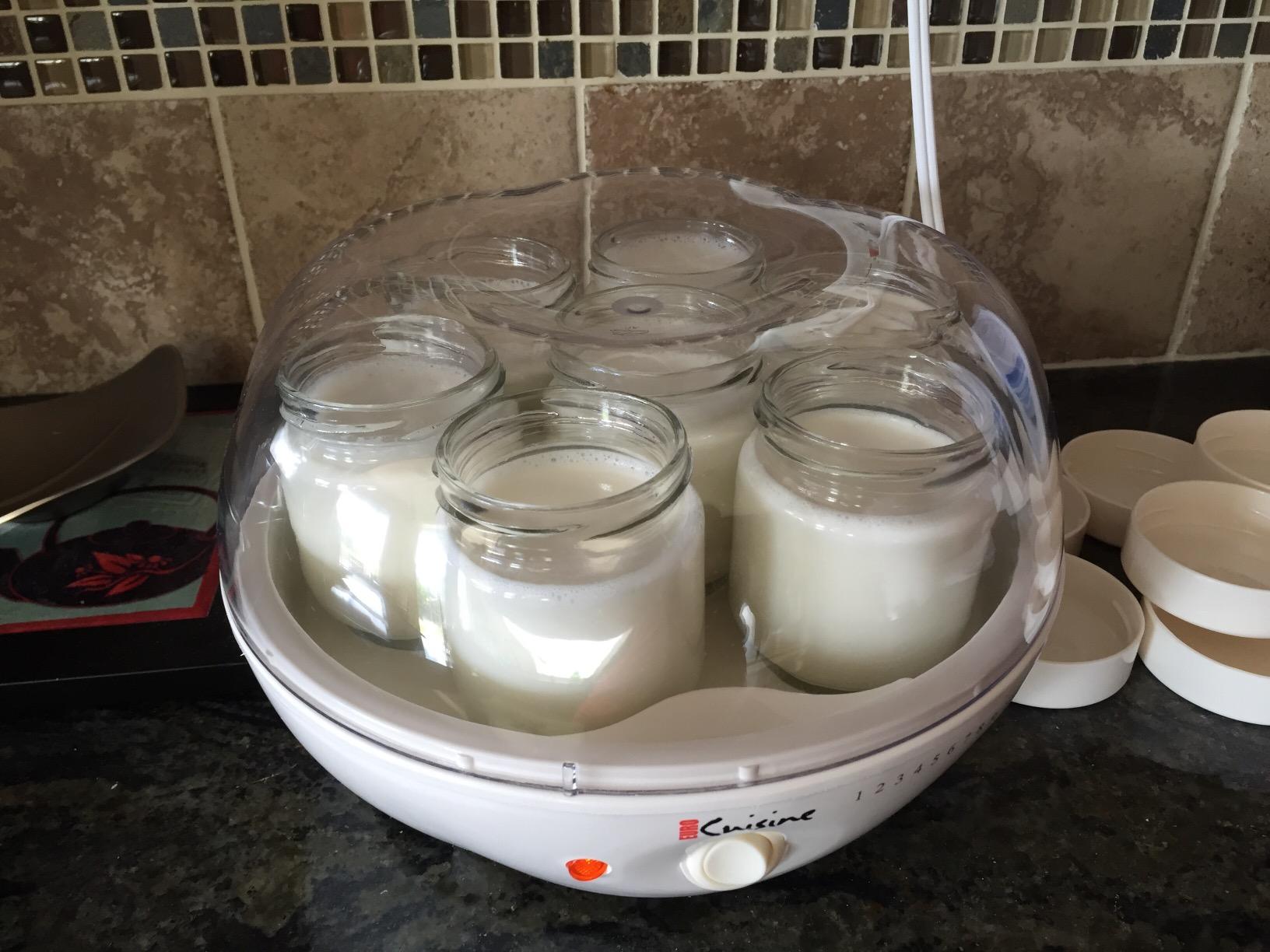 Euro Cuisine YM80 Electric Yogurt Maker Machine customer photo 2
