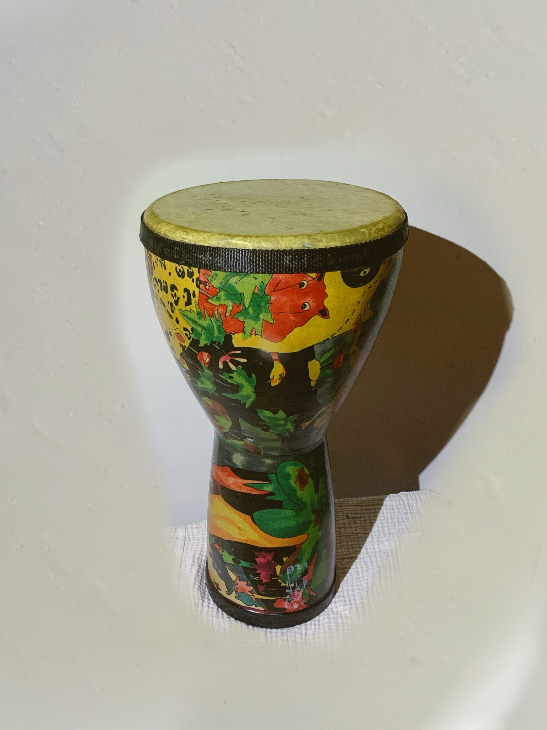 Remo KD-0608-01 Kids Percussion 8'' Djembe Drum, Rain Forest customer photo 1