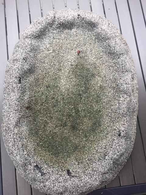 Farm Innovators Heated Bird Bath, Four Seasons Outdoor Decor Shallow Bath Tray for Birds - Backyard & Garden Birdbath with Sand Coated Design customer photo 2