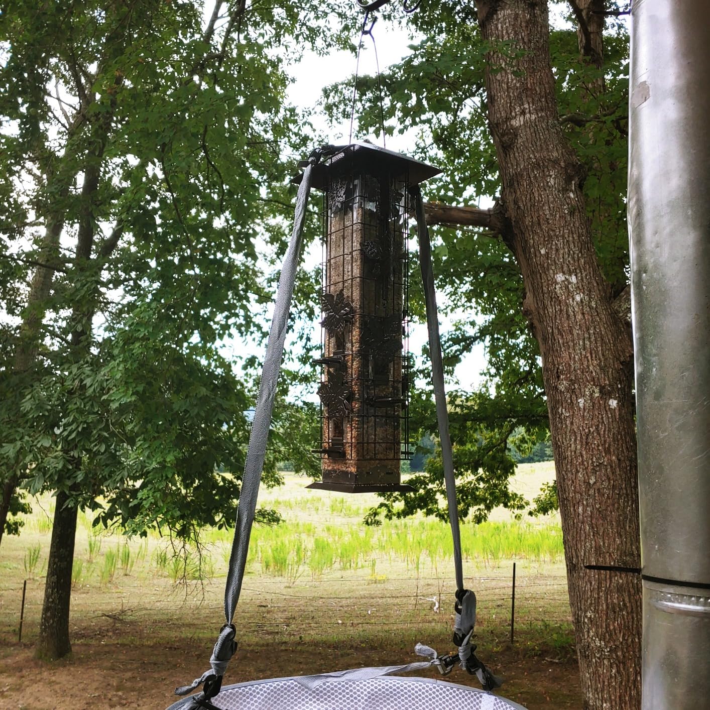 Perky-Pet 336-1SR Squirrel-Be-Gone Squirrel Proof Bird Feeder, 2LB, Outdoor Wild Bird Feeder with Weight-Activated Perches customer photo 2