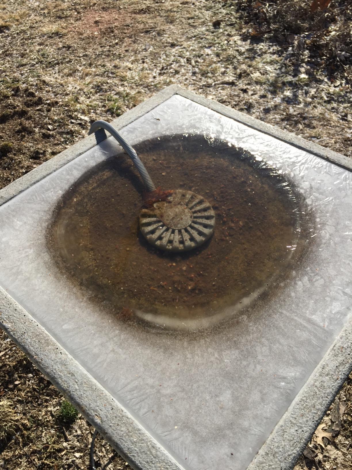 API Bird Bath De-Icer 250W - Thermostatically Controlled Aluminum Pond Deicer customer photo 2