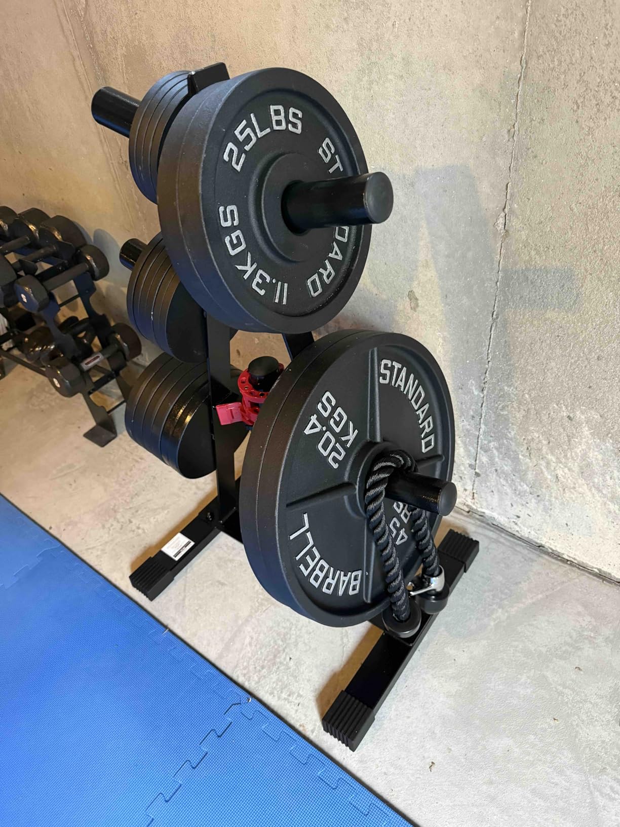 CAP A-Frame Olympic Plate Rack - Heavy-Duty 2-Inch Weight Plate Tree and Storage - 5 and 7 post options customer photo 2