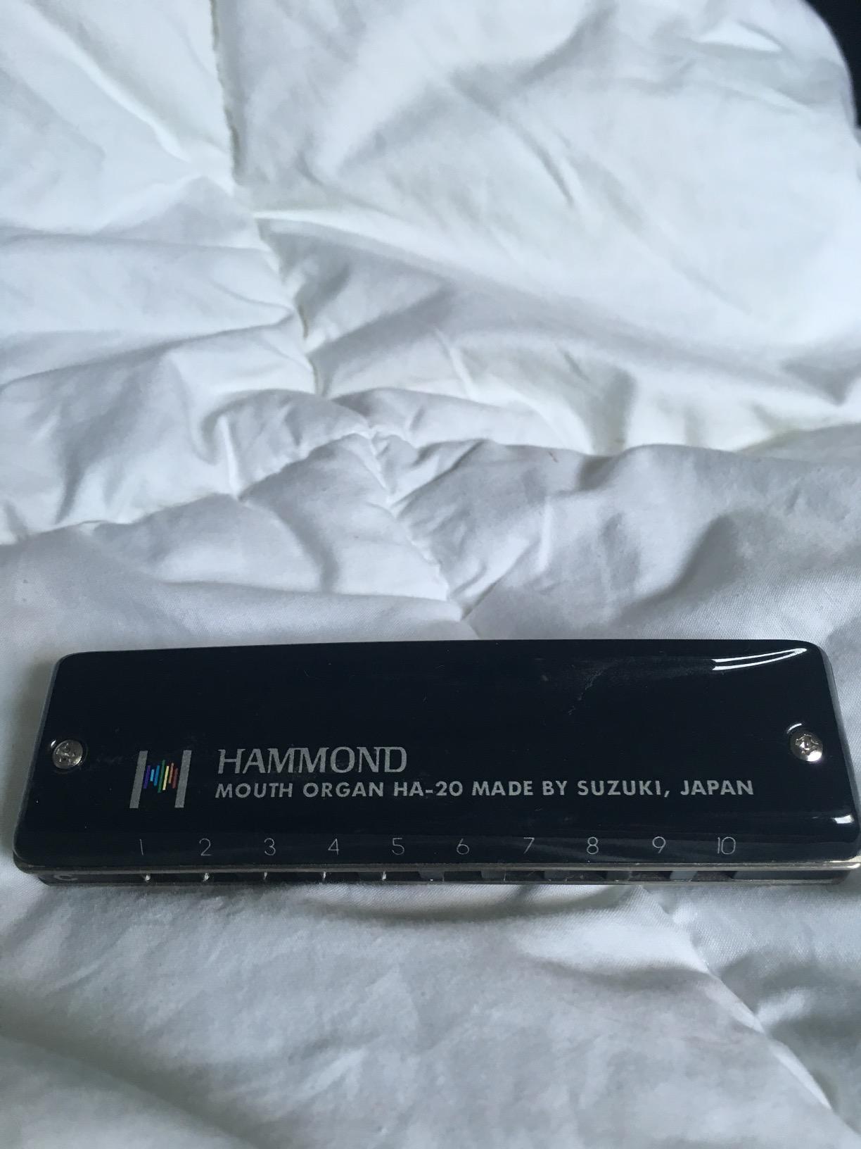 Suzuki HA-20 Harmonica, Key of C - Professional Grade with Aluminum Comb customer photo 1