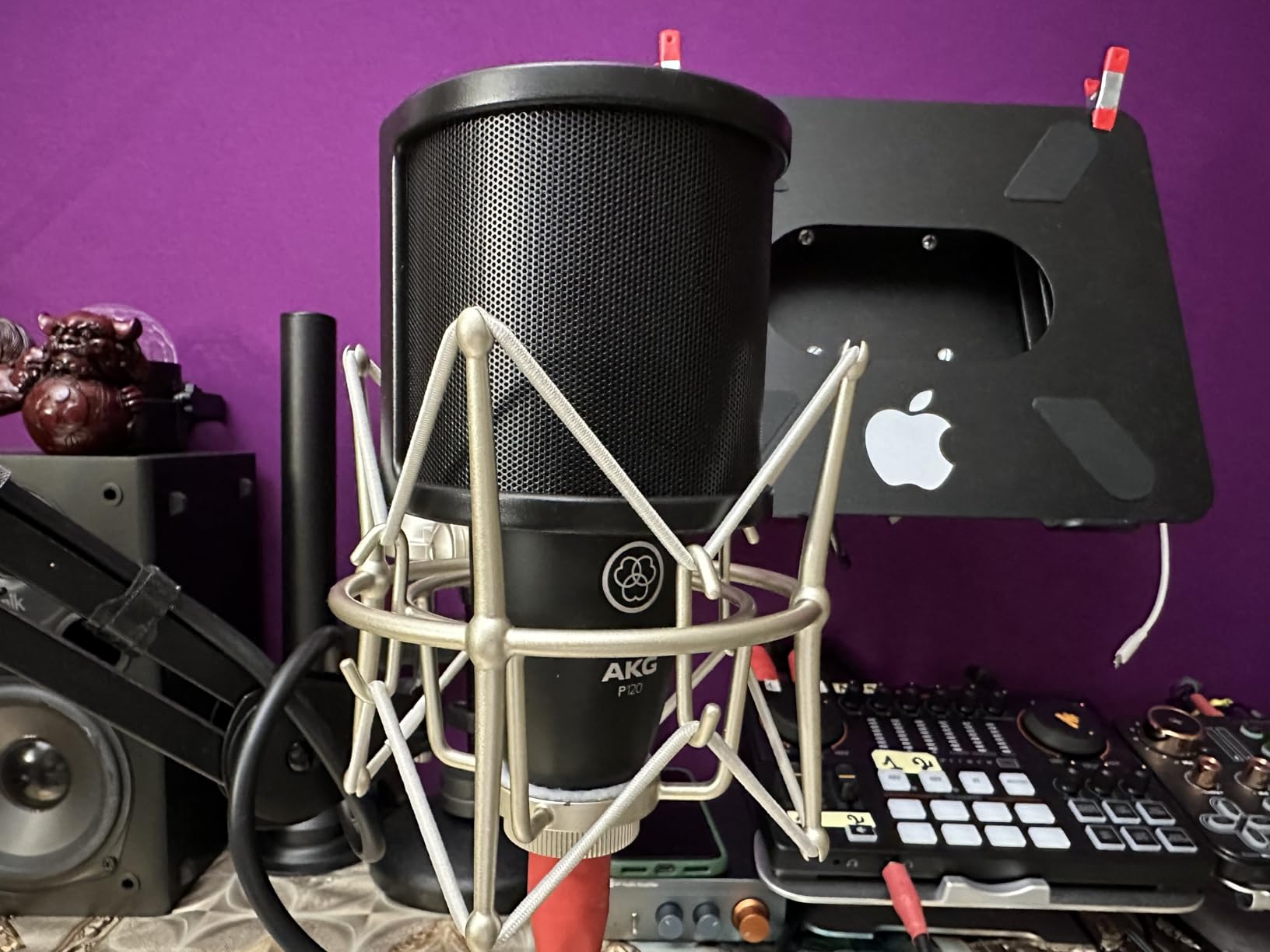 AKG Pro Audio P420 Multi-Pattern Condenser Microphone with Shock Mount and Case. Great for ensemble recording, grand piano, woodwind, brass instruments, drums and percussion. Black and Gold. customer photo 1
