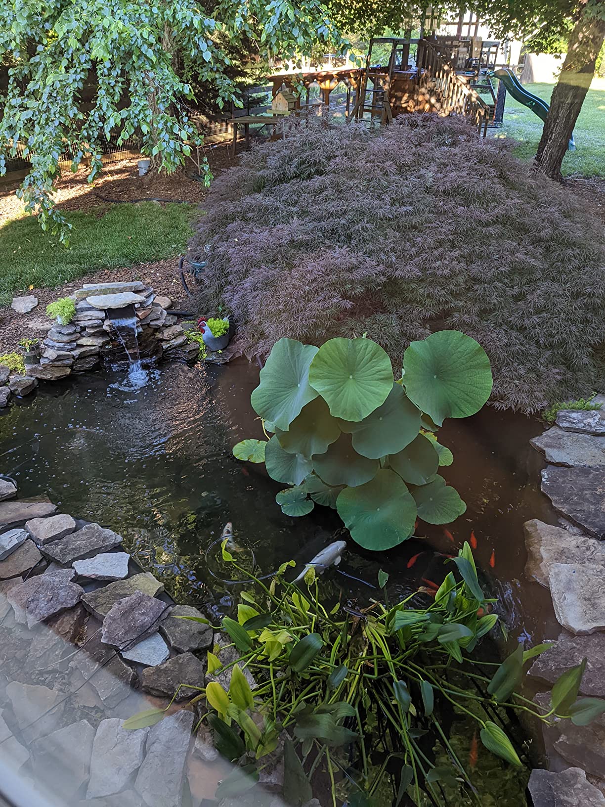 TetraPond Bio-Active Pressure Filter, For Ponds Up to 1500 Gallons customer photo 1