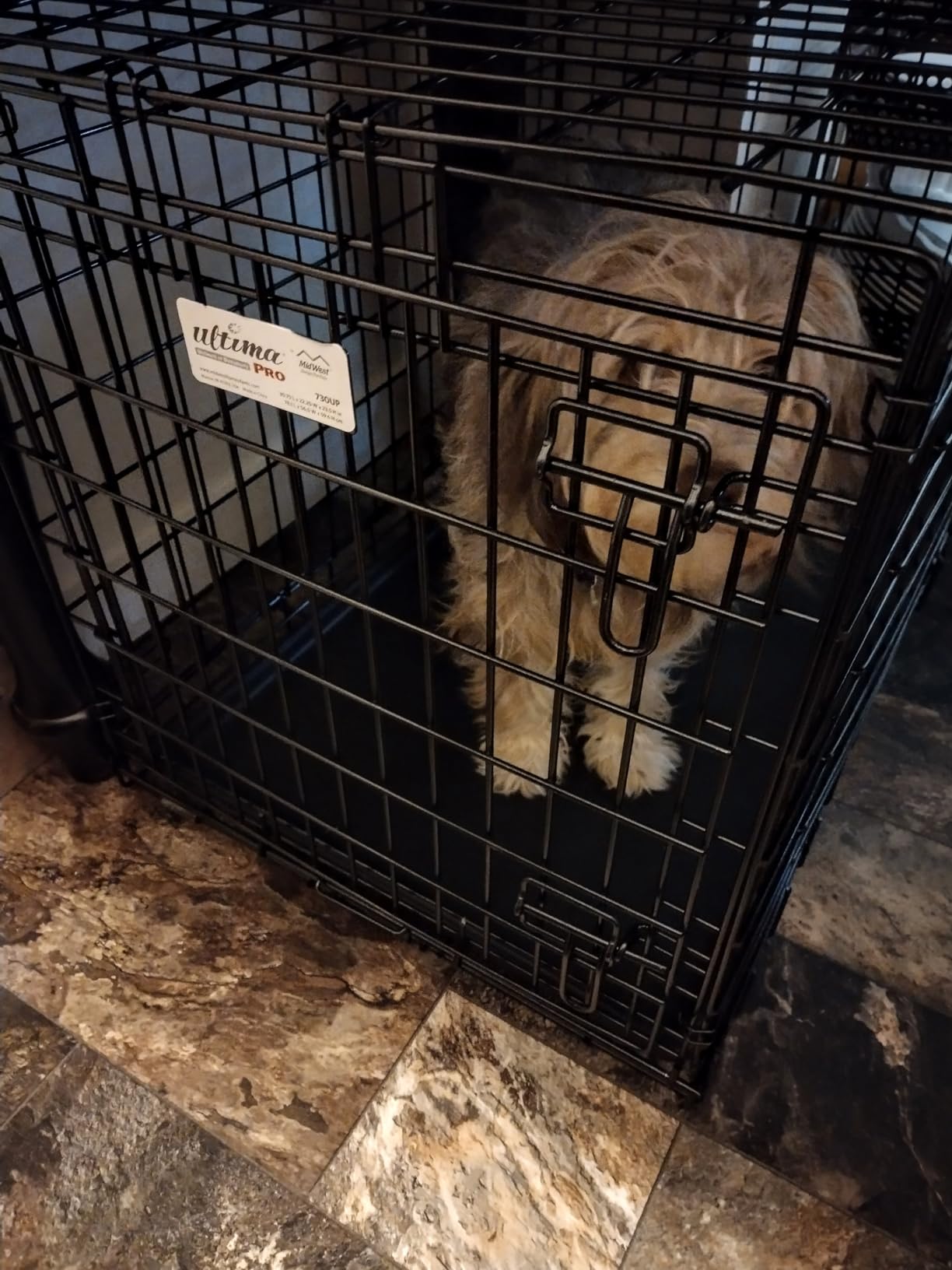MidWest Homes for Pets Ultima Pro Heavy-Duty 36-Inch Dog Crate, Ultra-Strong Steel Double Door Pet Cage for Medium to Large Breeds, Accessories Included customer photo 1