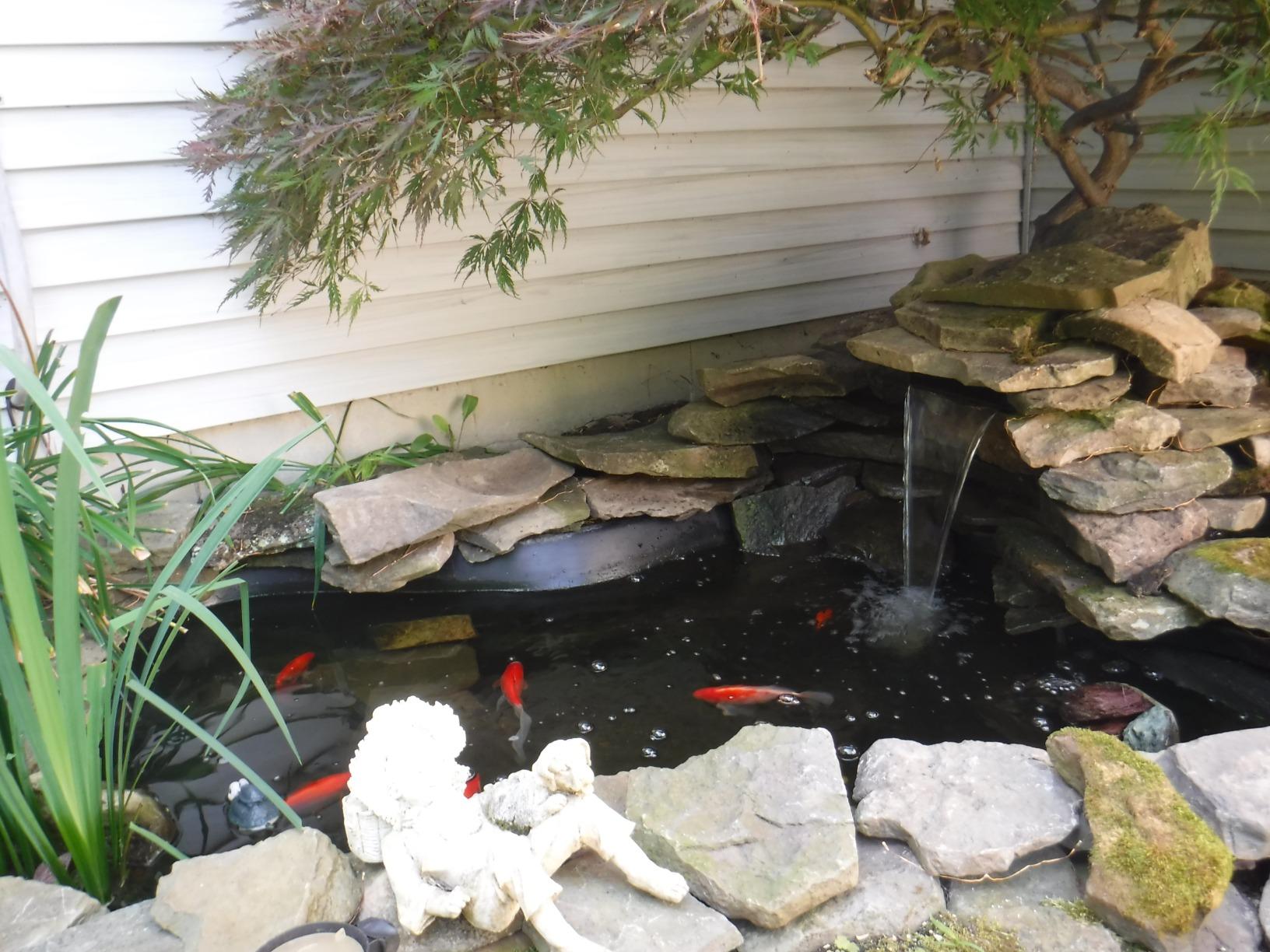 TetraPond Water Garden Pump, Powers Waterfalls/Filters/Fountain Heads customer photo 2