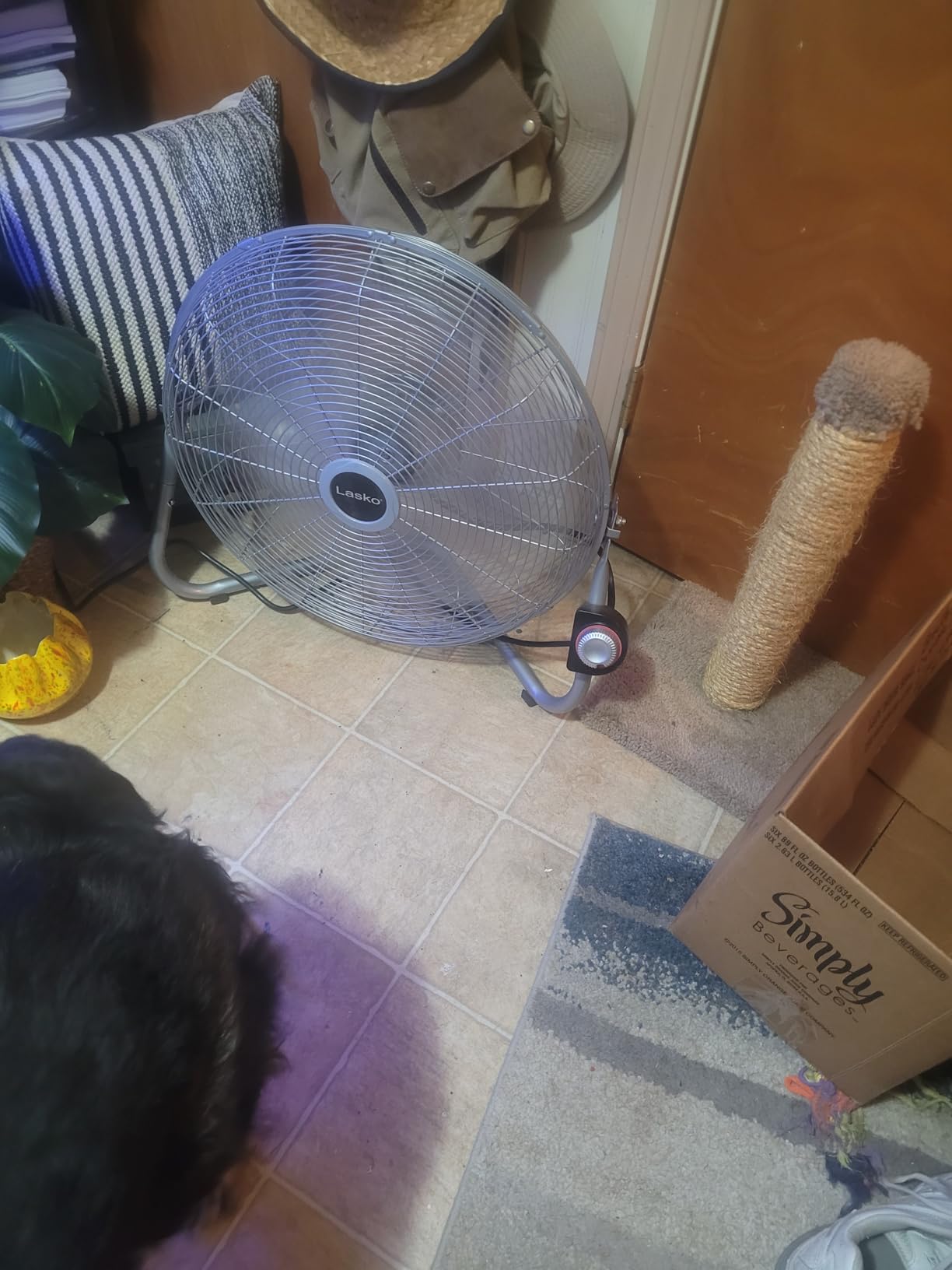 Lasko 20