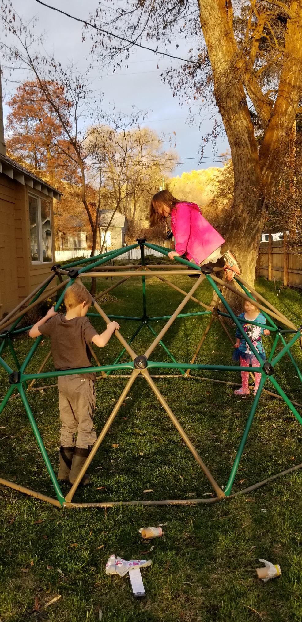 Lifetime Geometric Dome Climber Play Center, Earthtone customer photo 1