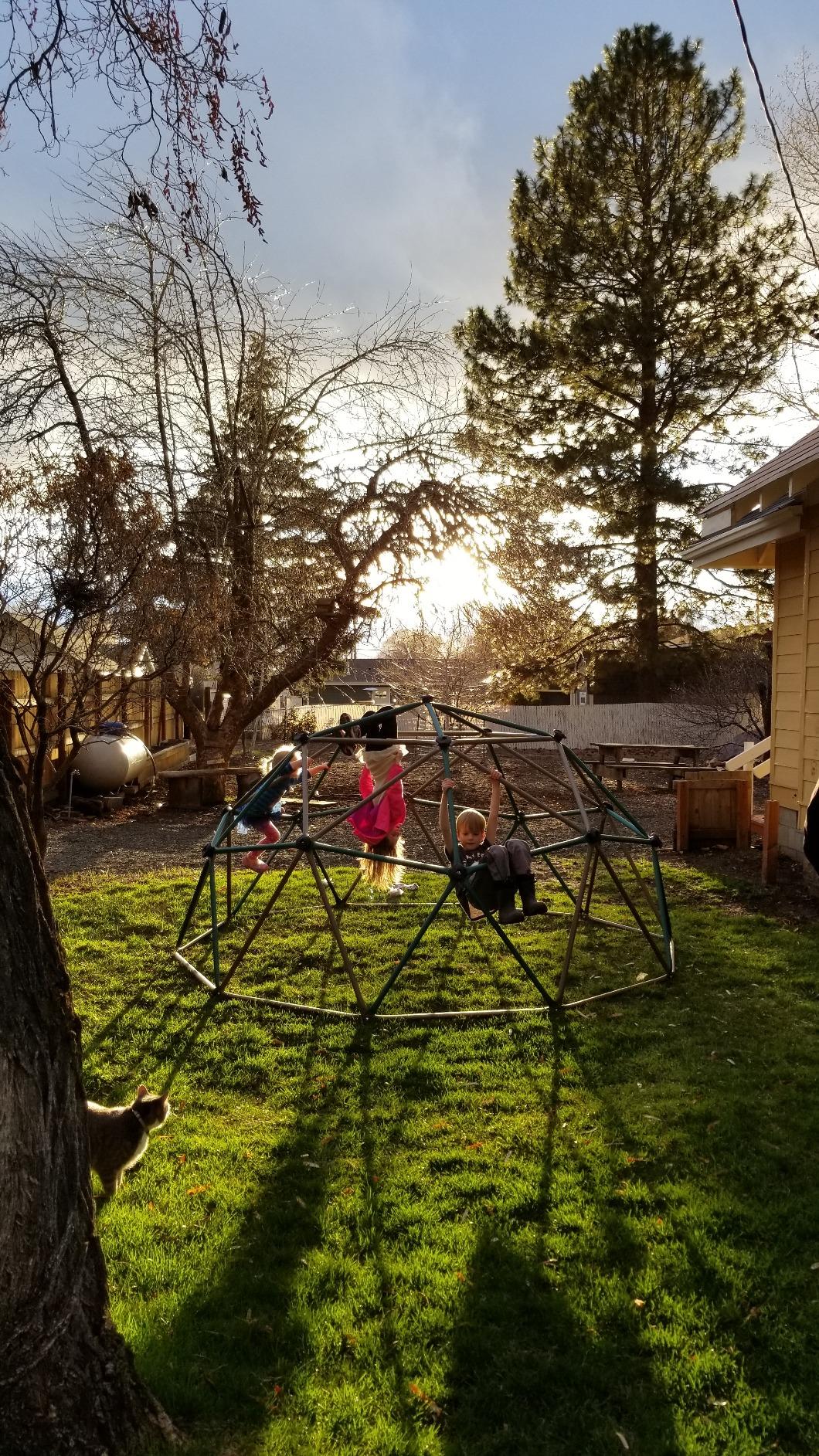 Lifetime Geometric Dome Climber Play Center, Earthtone customer photo 2