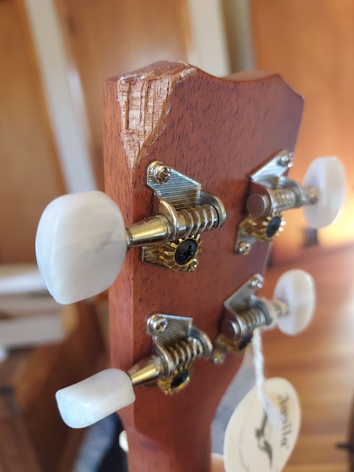 Cordoba 20BM Baritone Ukelele customer photo 2