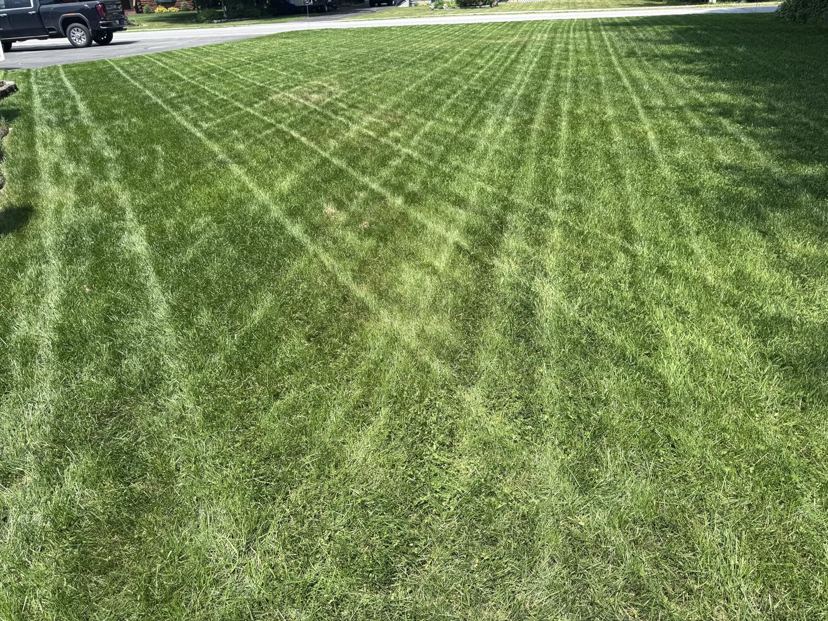 EGO AR2100 21inch Mower Striping Kit for EGO 21inch Walk Behind Mowers customer photo 2