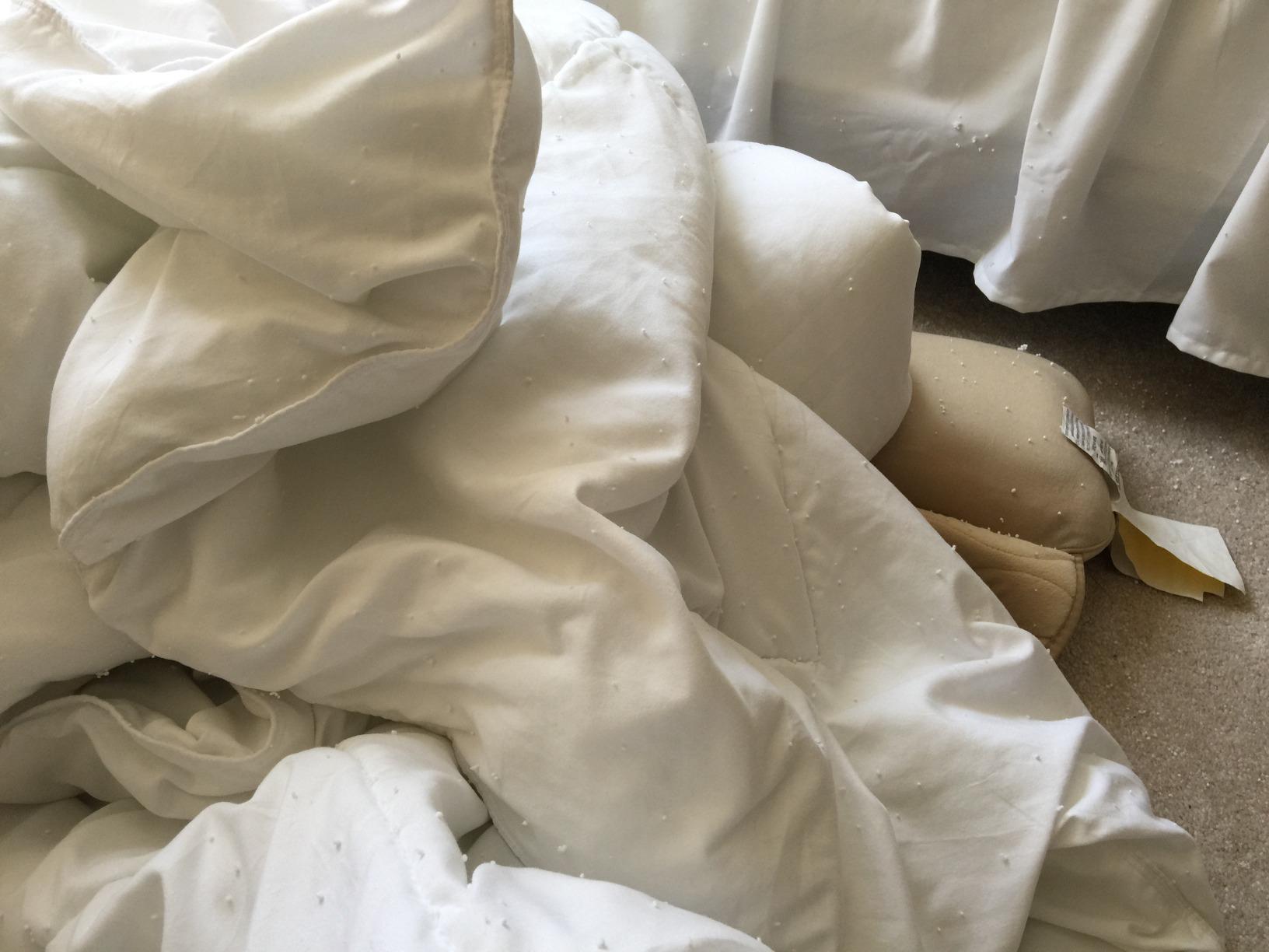 HOSPITOLOGY PRODUCTS White Comforter Queen Hypoallergenic Duvet Insert Microfiber All Season Goose Down Alternative Quilted - Corner Loops - Box Stitched - Washable - 90