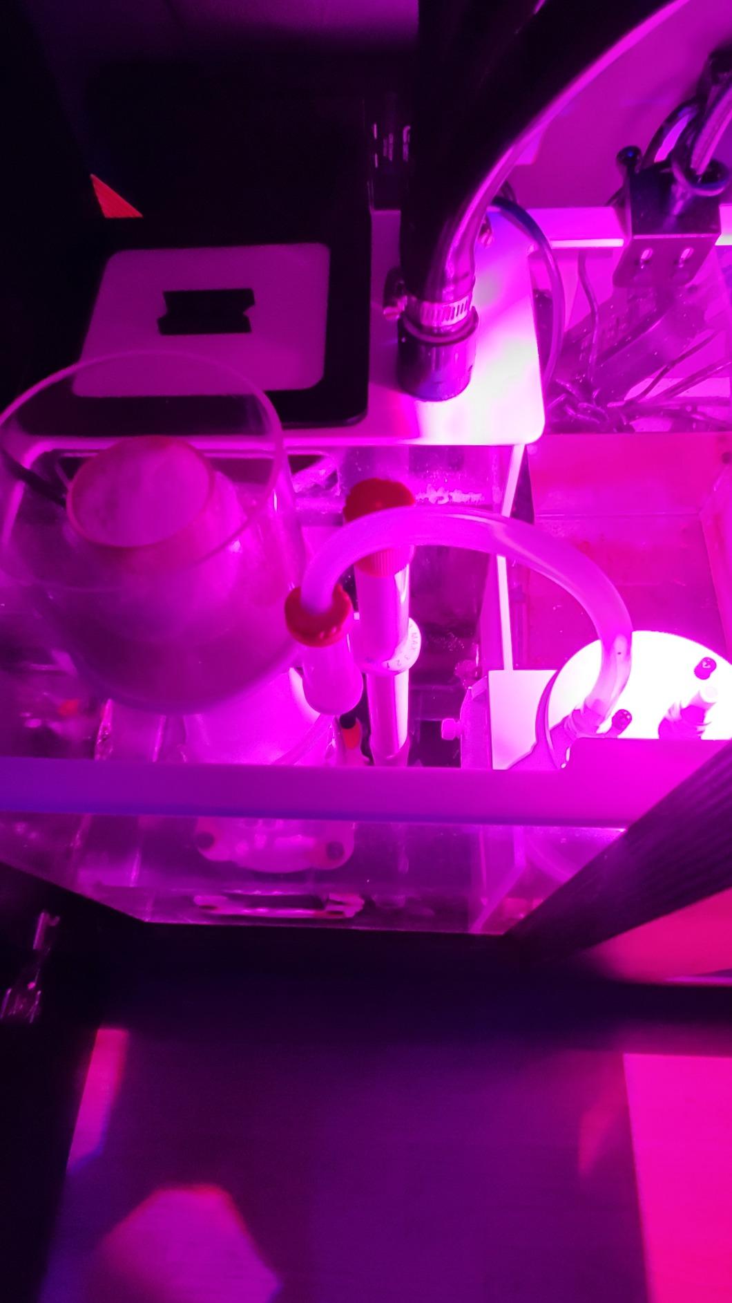 Bubble Magus BM-Curve 7 Protein Skimmer customer photo 1
