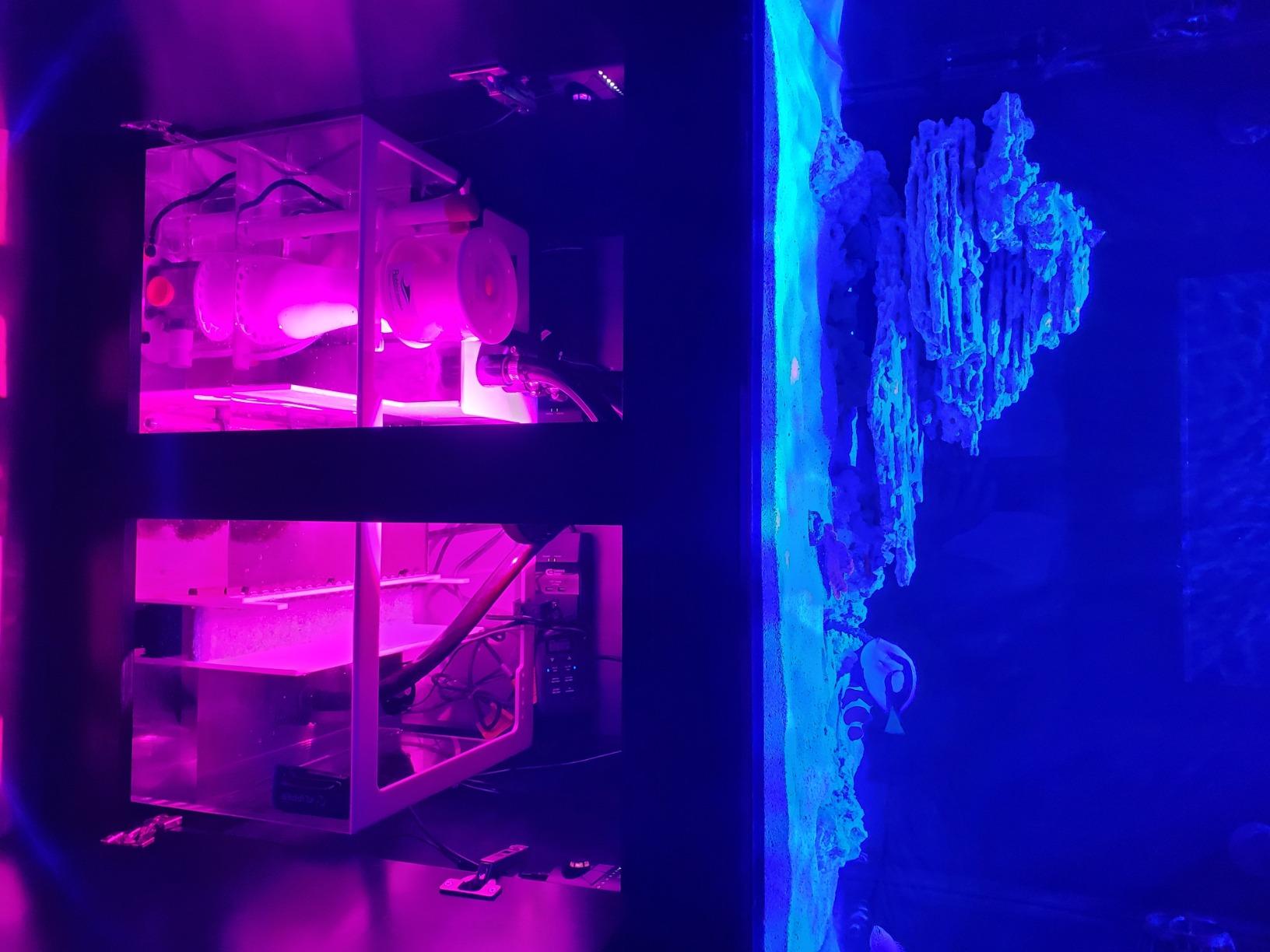 Bubble Magus BM-Curve 7 Protein Skimmer customer photo 2