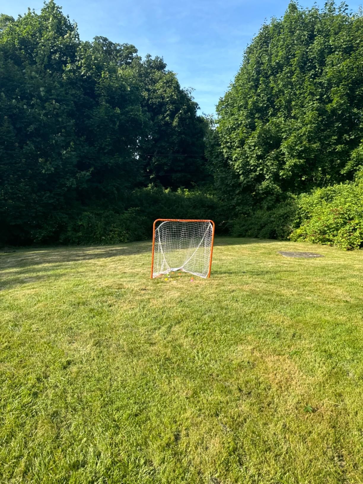 Franklin Sports Backyard Lacrosse Goal - Kids + Adult Lacrosse Training Net customer photo 1