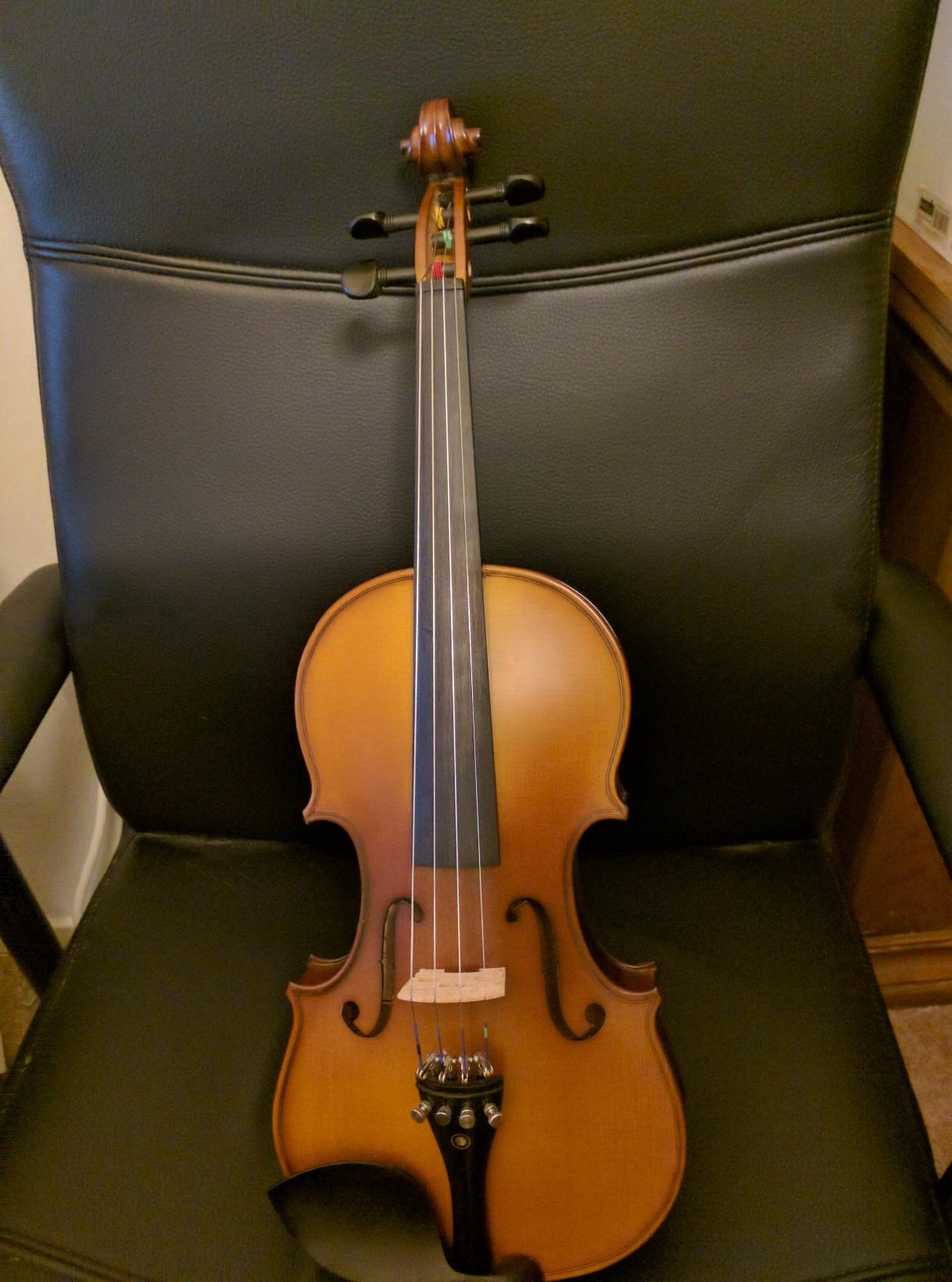 Cecilio Full Size 4/4 Violin with Hard Case & Shoulder Rest - Solidwood Ebony Fitted Violin with D'Addario Strings, Ideal for Beginners customer photo 2