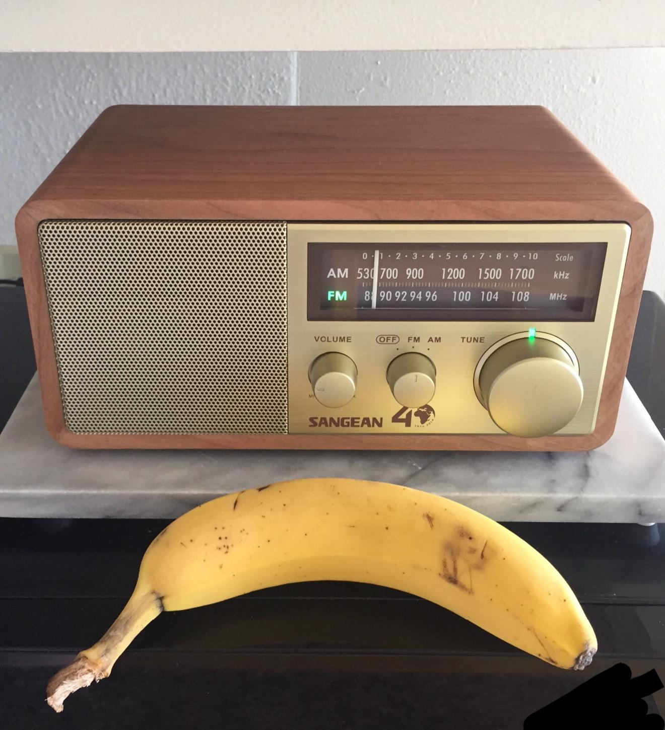 Sangean WR-11SE AM/FM Table Top Radio 40th Anniversary Edition Walnut customer photo 1