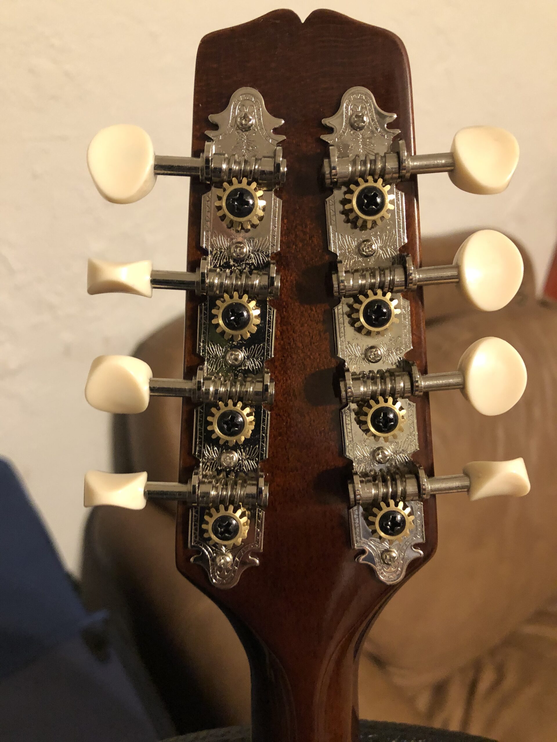Kentucky KM-252 Artist A-model Mandolin - Transparent Amber customer photo 2