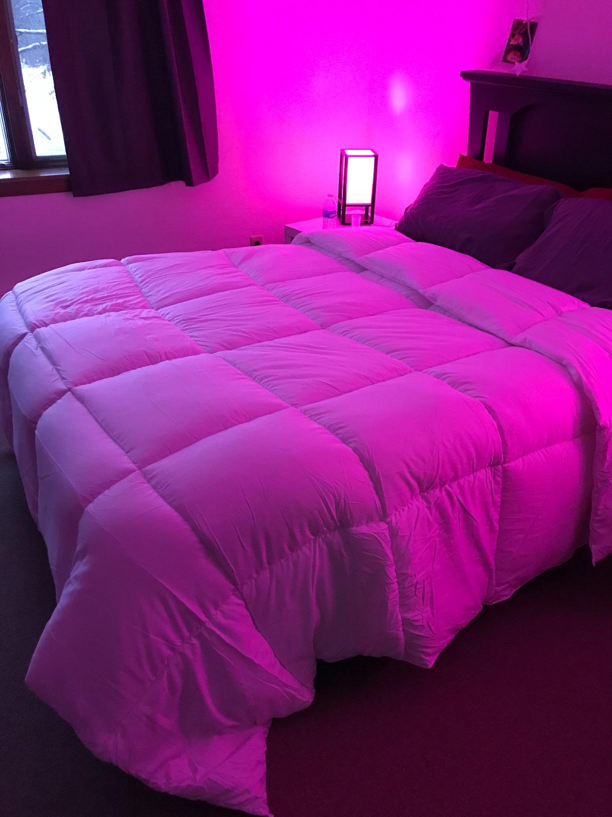 Utopia Bedding Comforter Duvet Insert, Quilted Comforter with Corner Tabs, Box Stitched Down Alternative Comforters Queen Size (White) customer photo 1