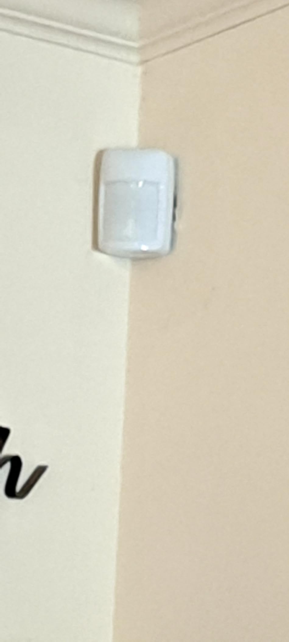 IS335 WIRED PIR Motion Detector, 40' x 56' by Honeywell customer photo 1