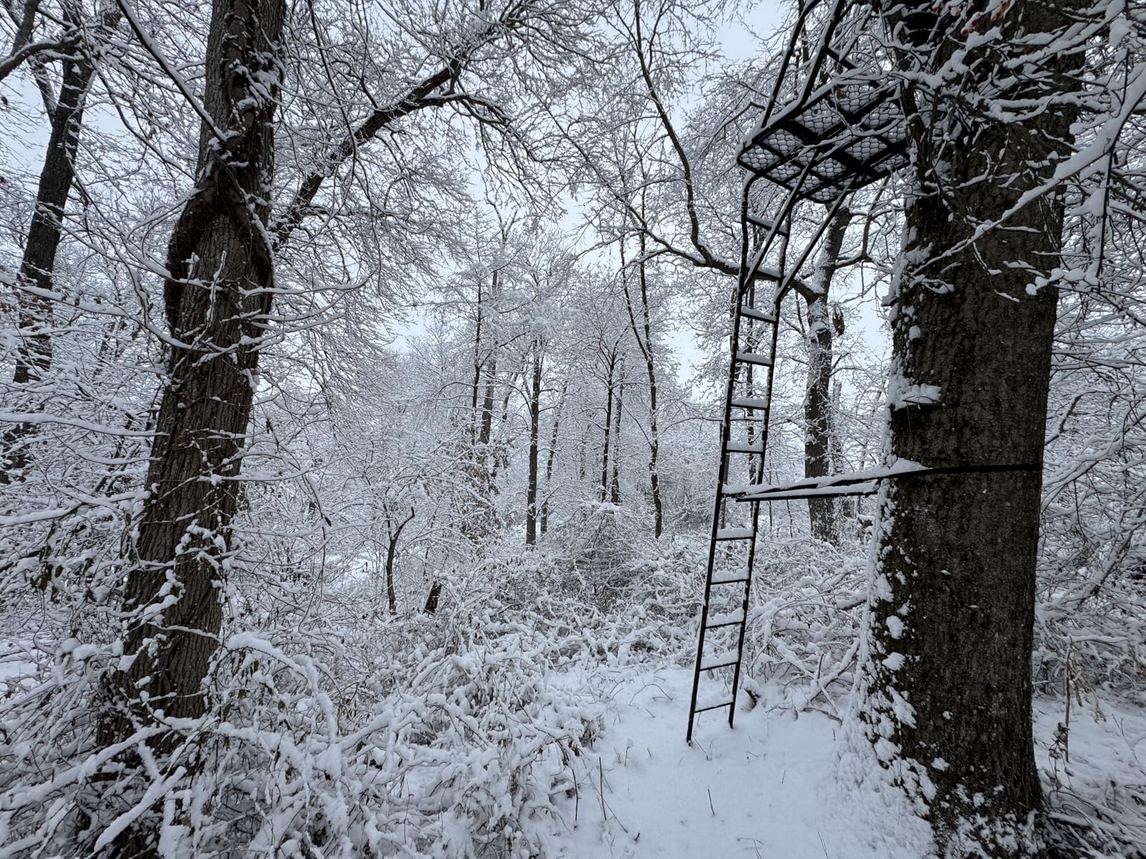 Muddy 2-Person Ladder Tree Stand for Deer Hunting, The Partner, 17' Tall, Black - Adjustable Climbing Treestand with Platform, Straps and Safety Harness for Shooting customer photo 1