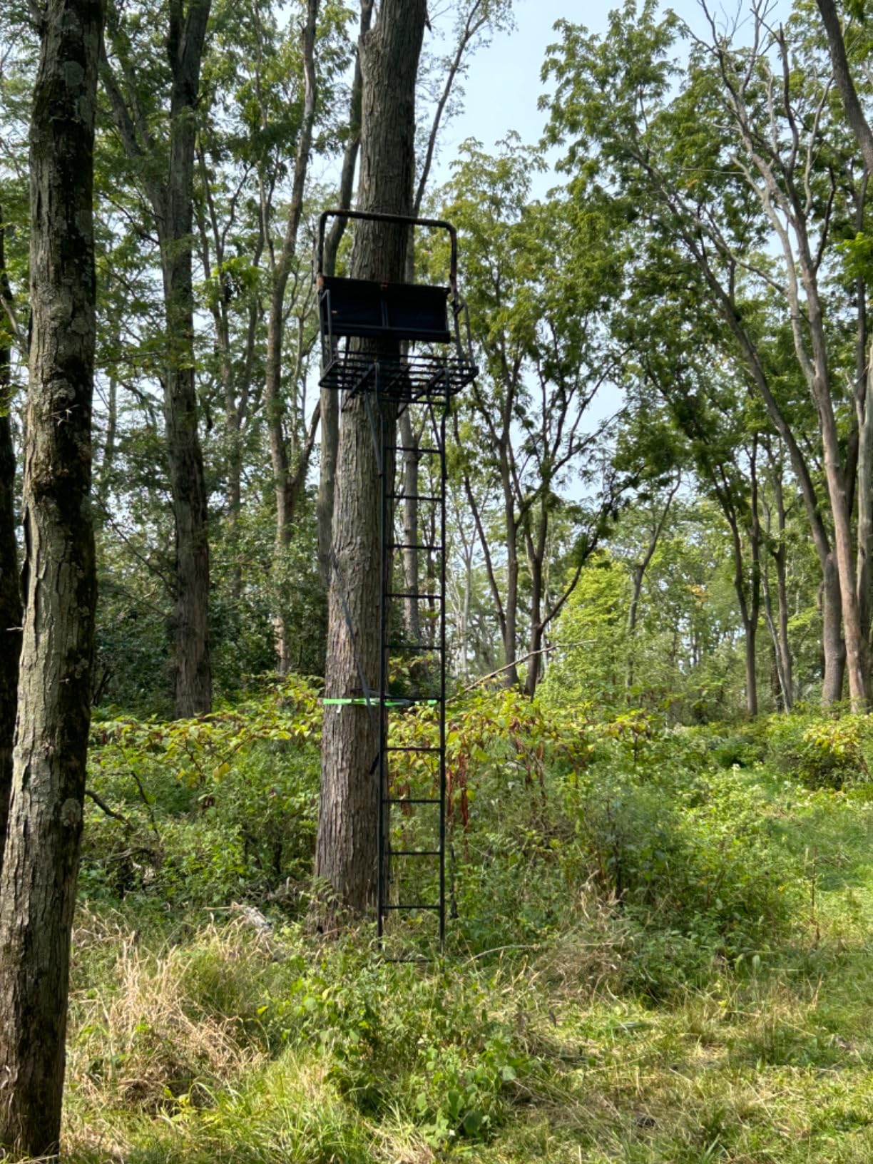 Muddy 2-Person Ladder Tree Stand for Deer Hunting, The Partner, 17' Tall, Black - Adjustable Climbing Treestand with Platform, Straps and Safety Harness for Shooting customer photo 2