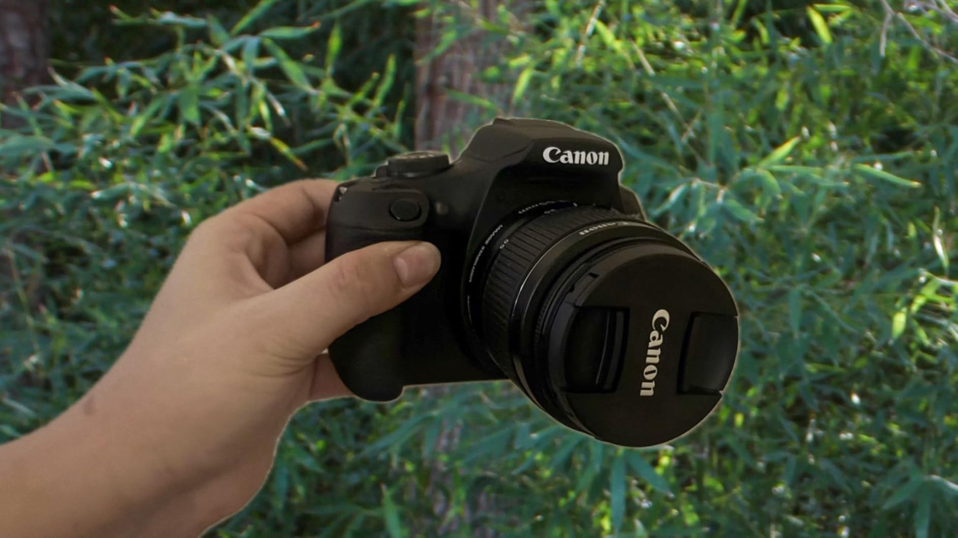 Canon EOS Rebel T7 DSLR Camera Double Zoom Lens Kit, 24.1MP APS-C customer photo 1