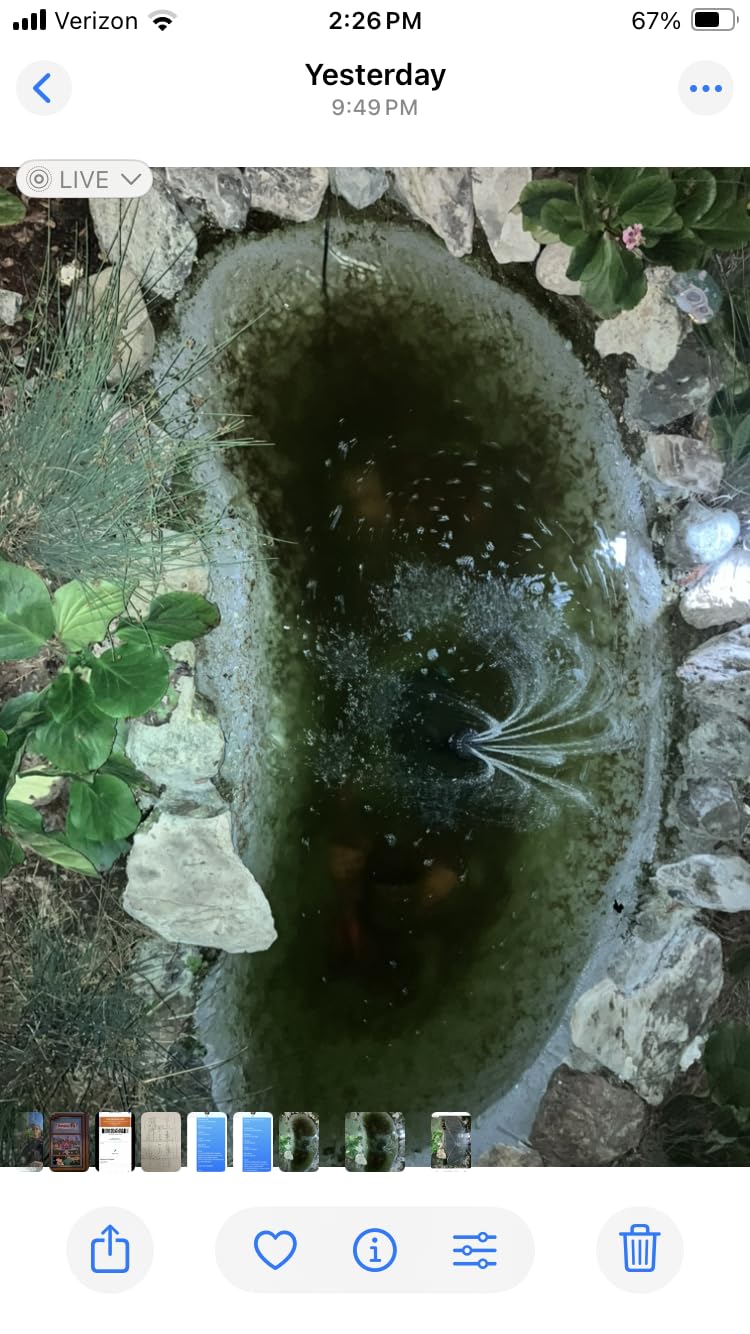 Flexzion Pond UV Lights for Outdoor Ponds - 36W Large Light, 9246 Gal Capacity, 4500L/H UV Pond Clarifier (CUV-136) customer photo 1