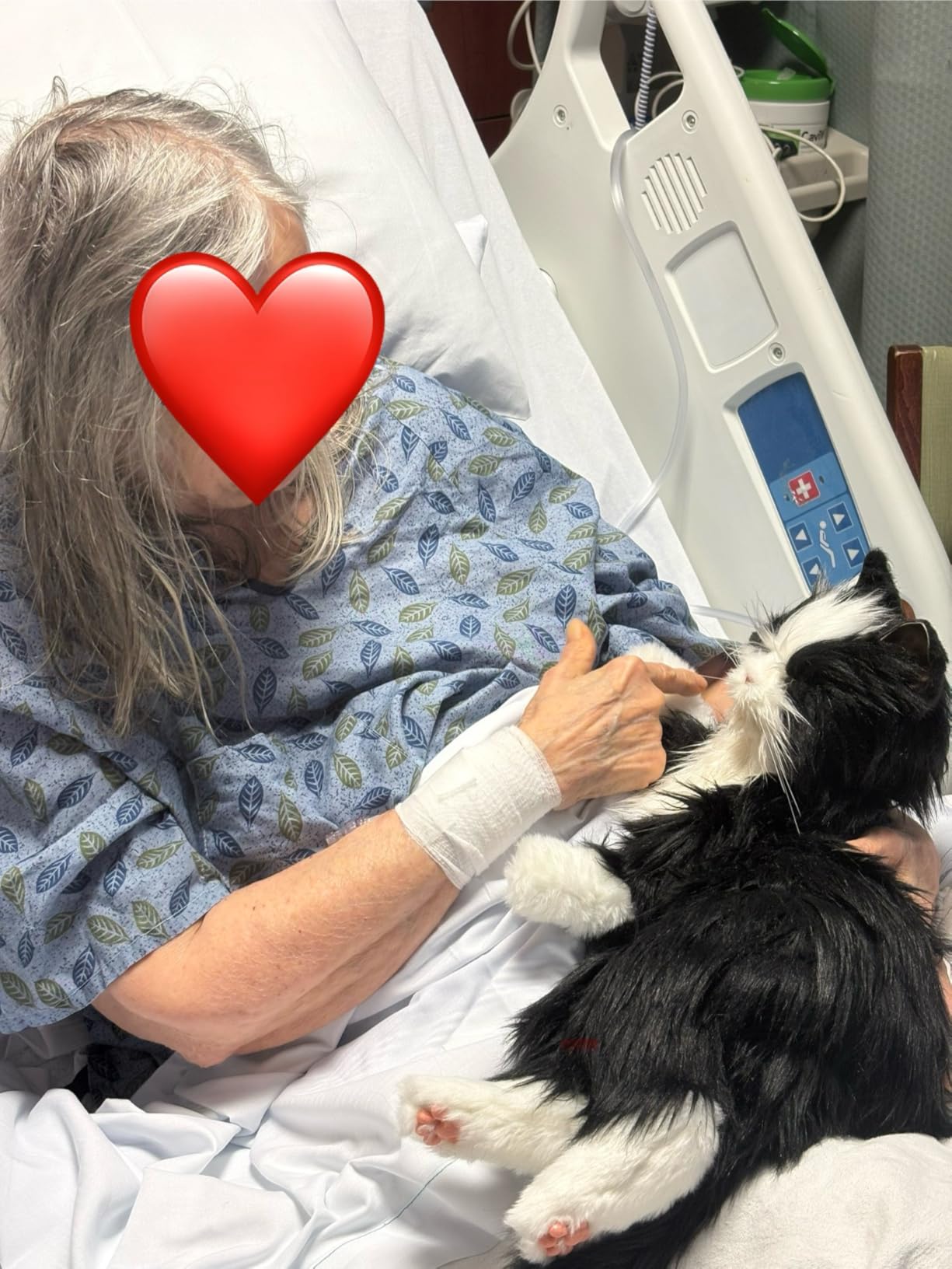 JOY FOR ALL Companion Pet for Seniors - Lifelike Animatronic Cat with Realistic Soft-Touch Fur & Purring customer photo 1