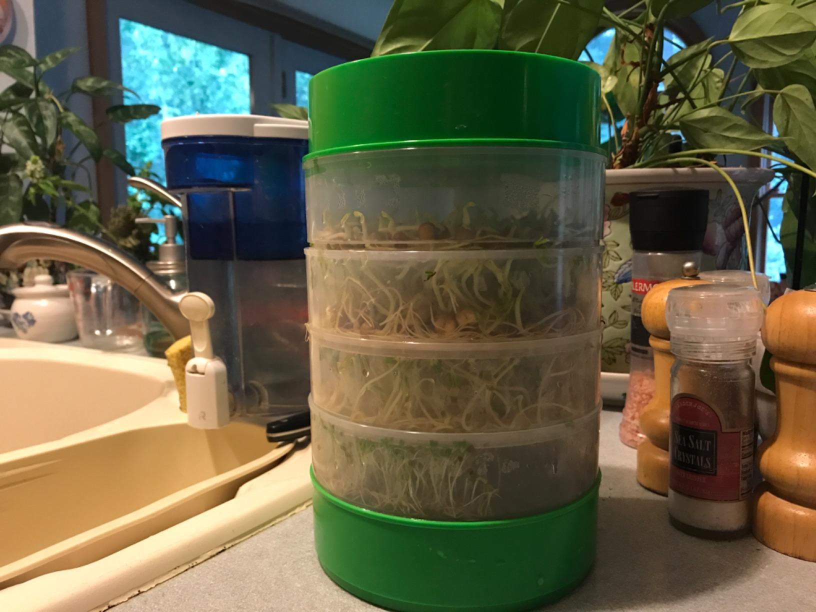 KITCHEN CROP Deluxe Seed Sprouter with 4 Growing Trays and 1 Seed Packet (Alfalfa Seeds) - Easily Grow Sprouts Indoors customer photo 1
