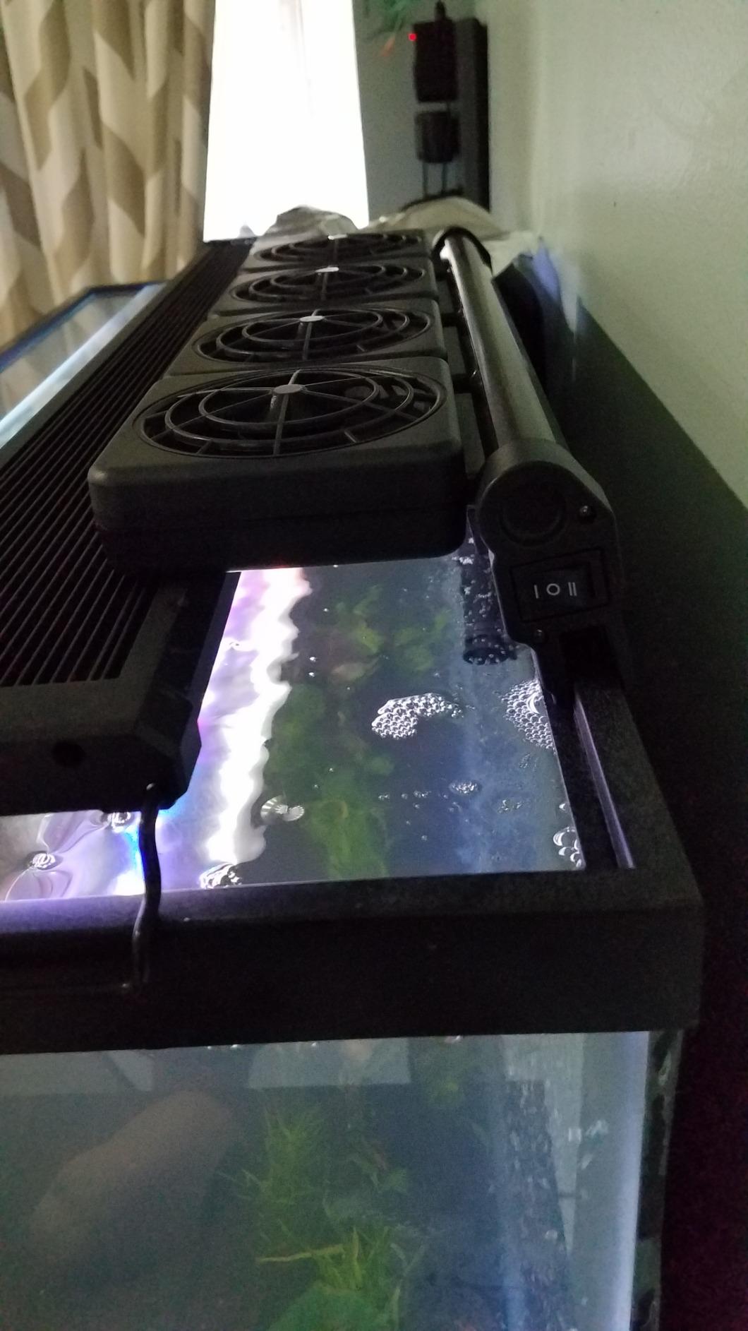 Aquarium Chiller, Fish Tank Cooling Fan System for Salt Fresh Water, 2 Variable Speed, Wide Angle Adjustable (1-Fan) customer photo 2