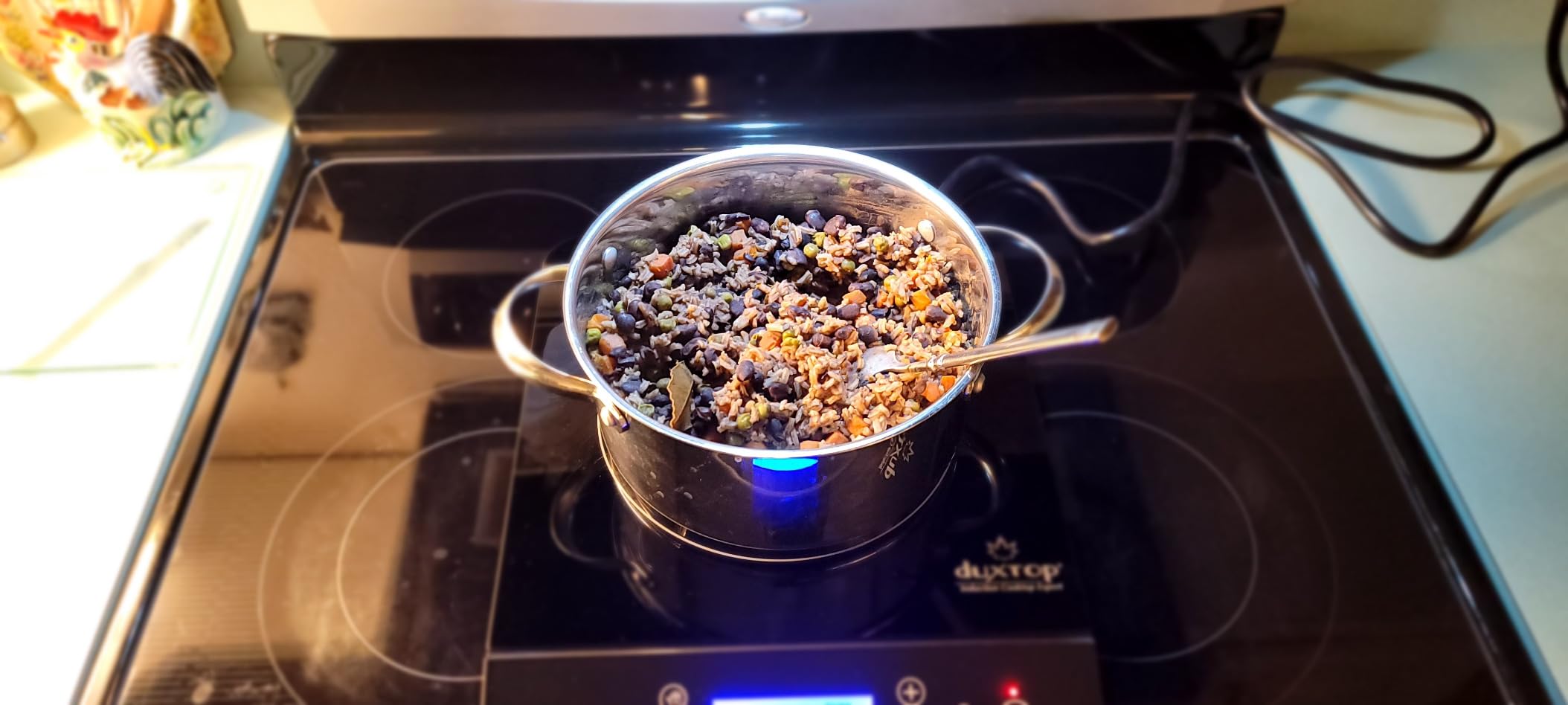 Duxtop Portable Induction Cooktop, Silver 9600LS BT-200DZ customer photo 2