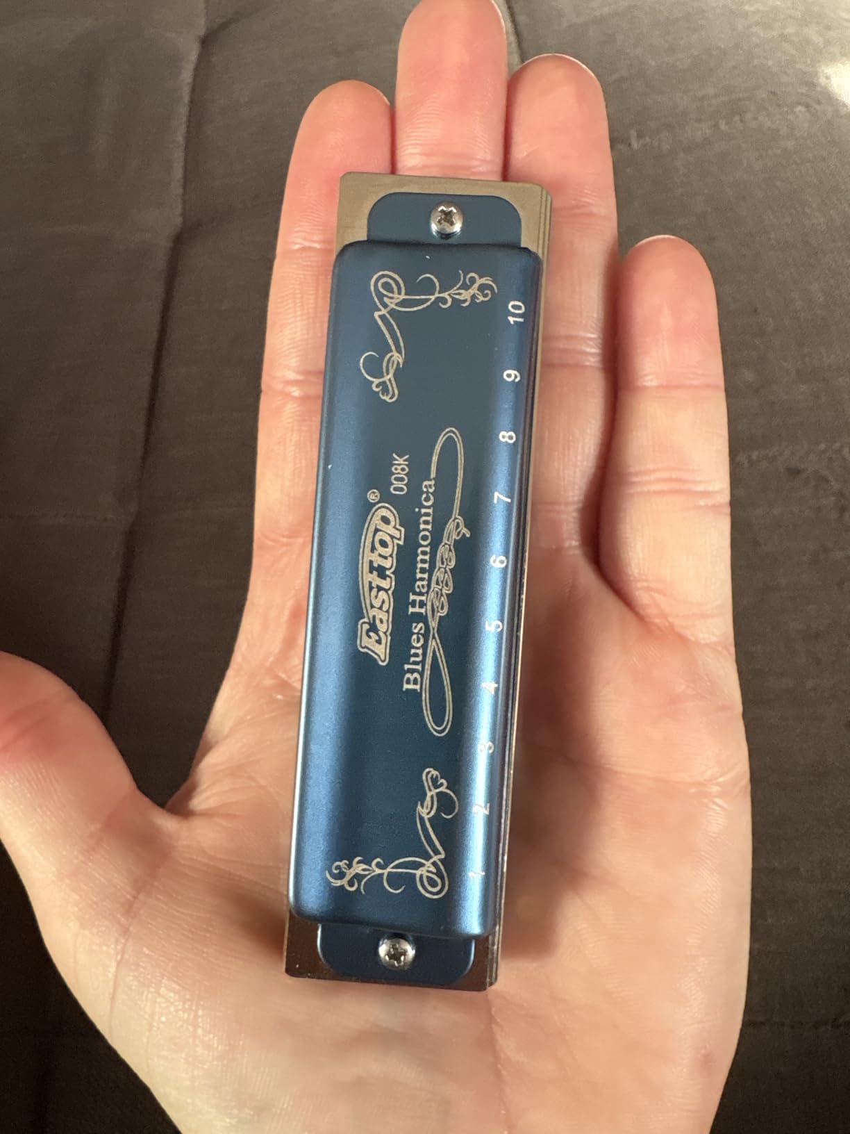 Easttop Harmonica Key of C, 10 Holes 008K Diatonic Mouth Organ with Blue Case customer photo 1